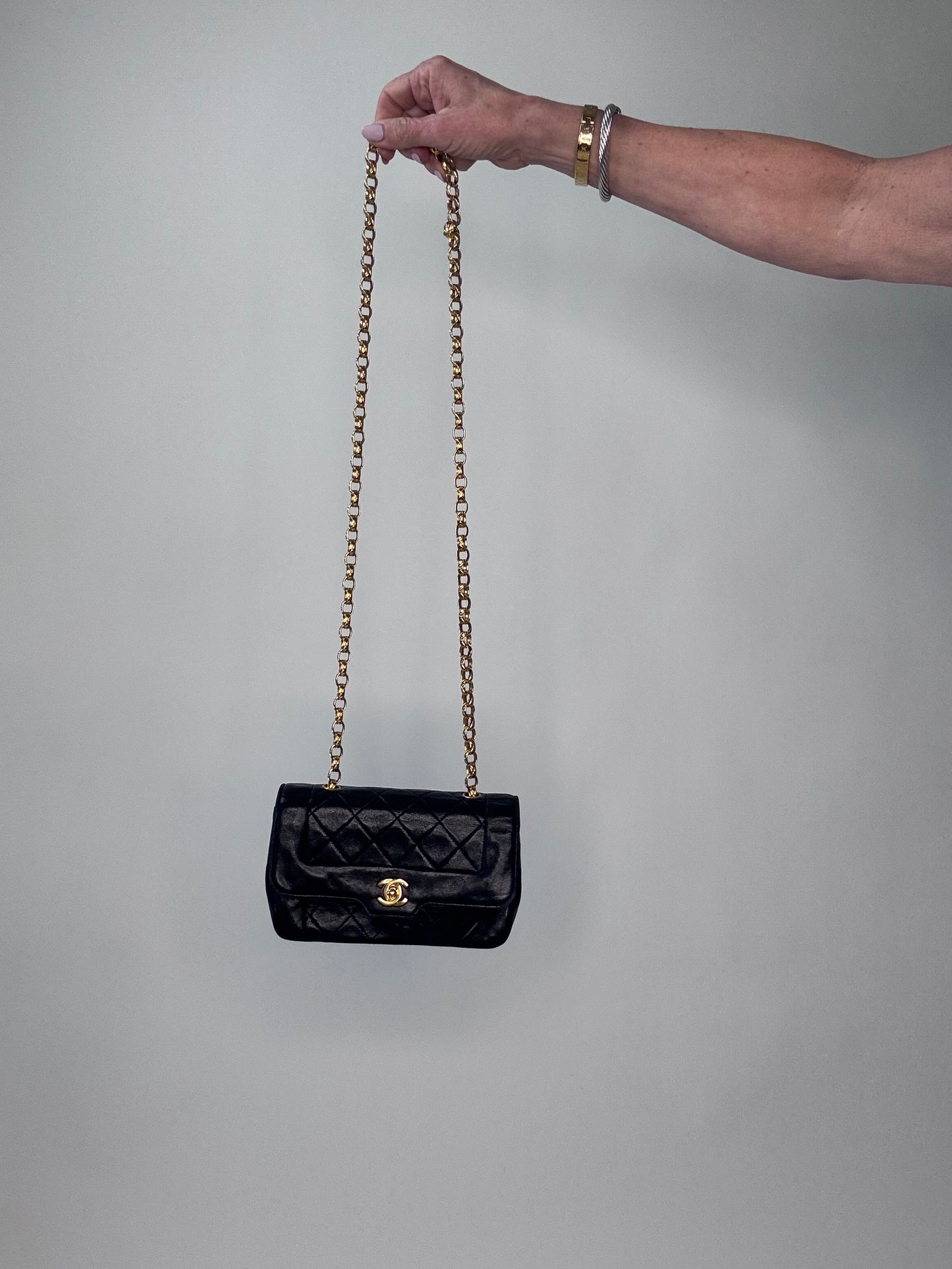 Chanel Diana Bijoux Chain Small Flap Bag - Black