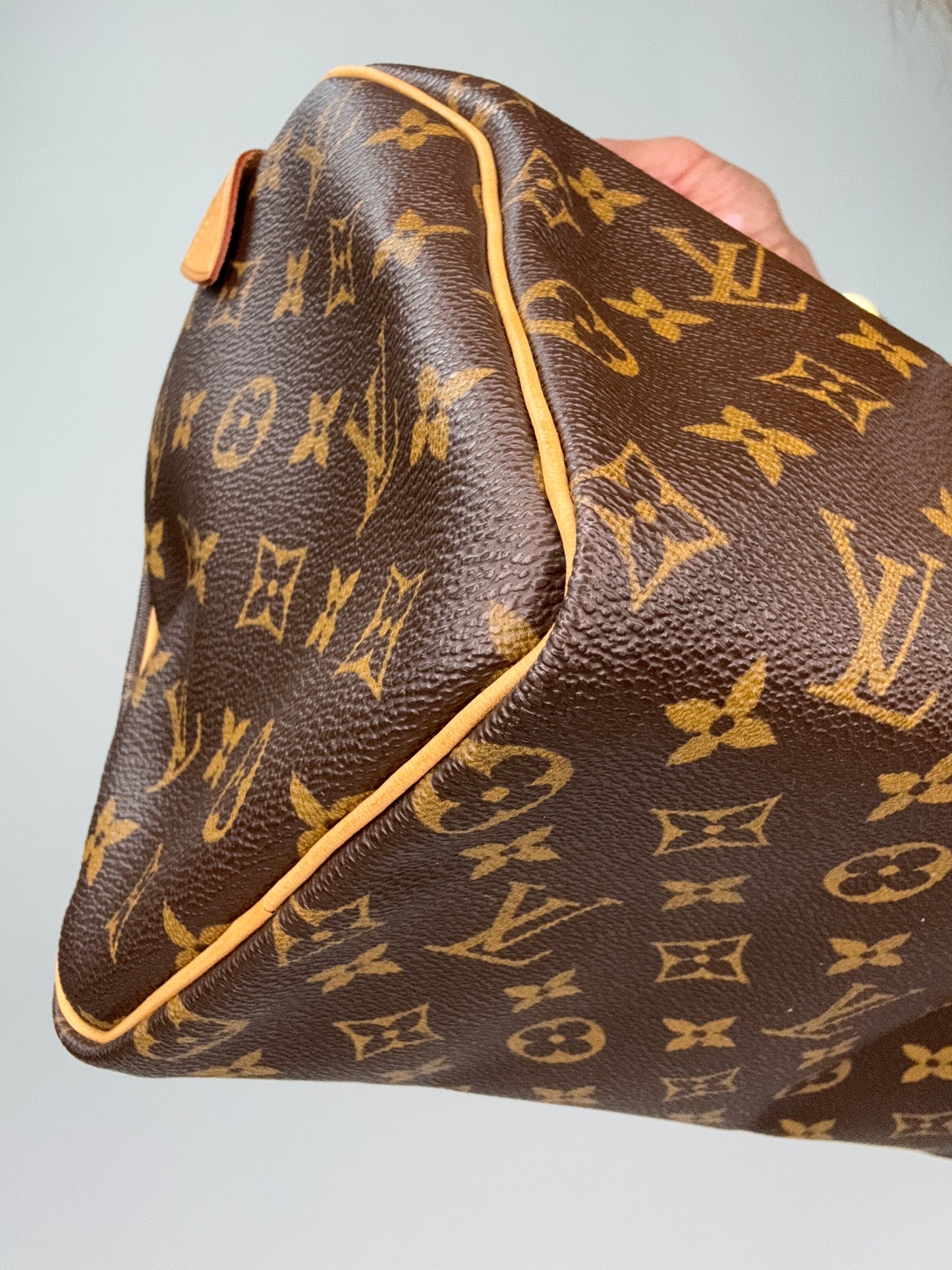 Louis Vuitton Speedy 25 Monogram