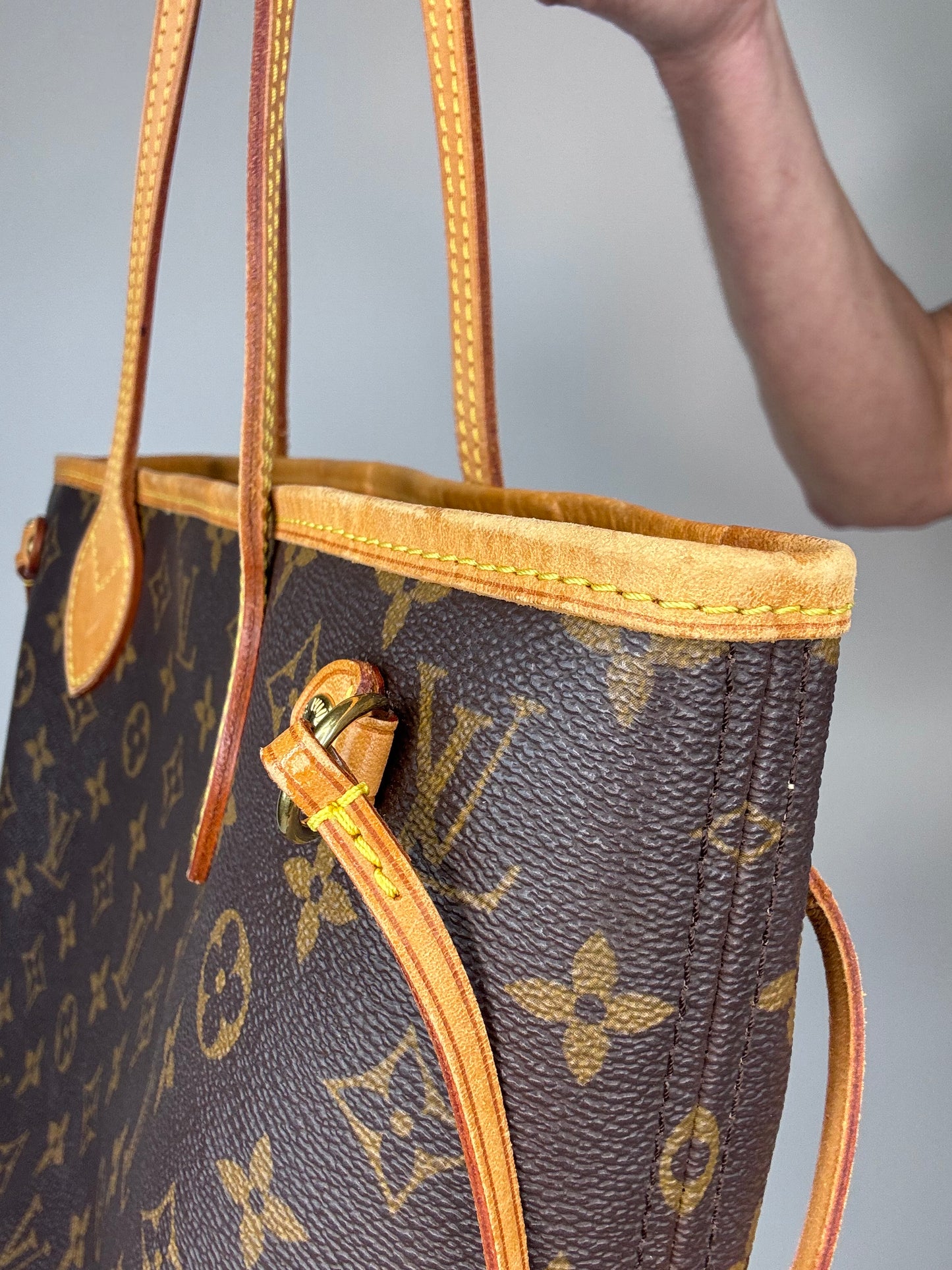 Louis Vuitton Monogram Neverfull PM