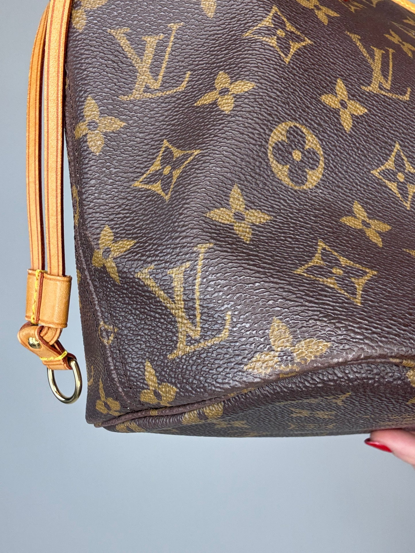Louis Vuitton Monogram Neverfull PM