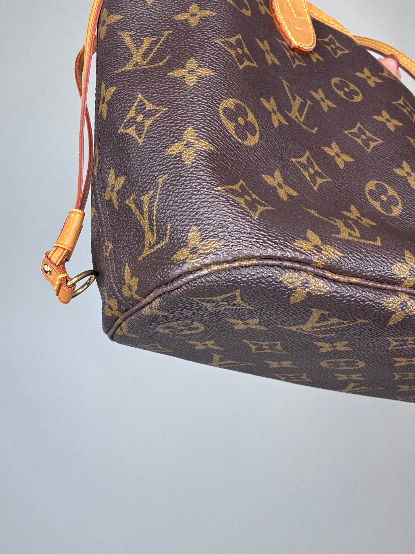 Louis Vuitton Monogram Neverfull PM