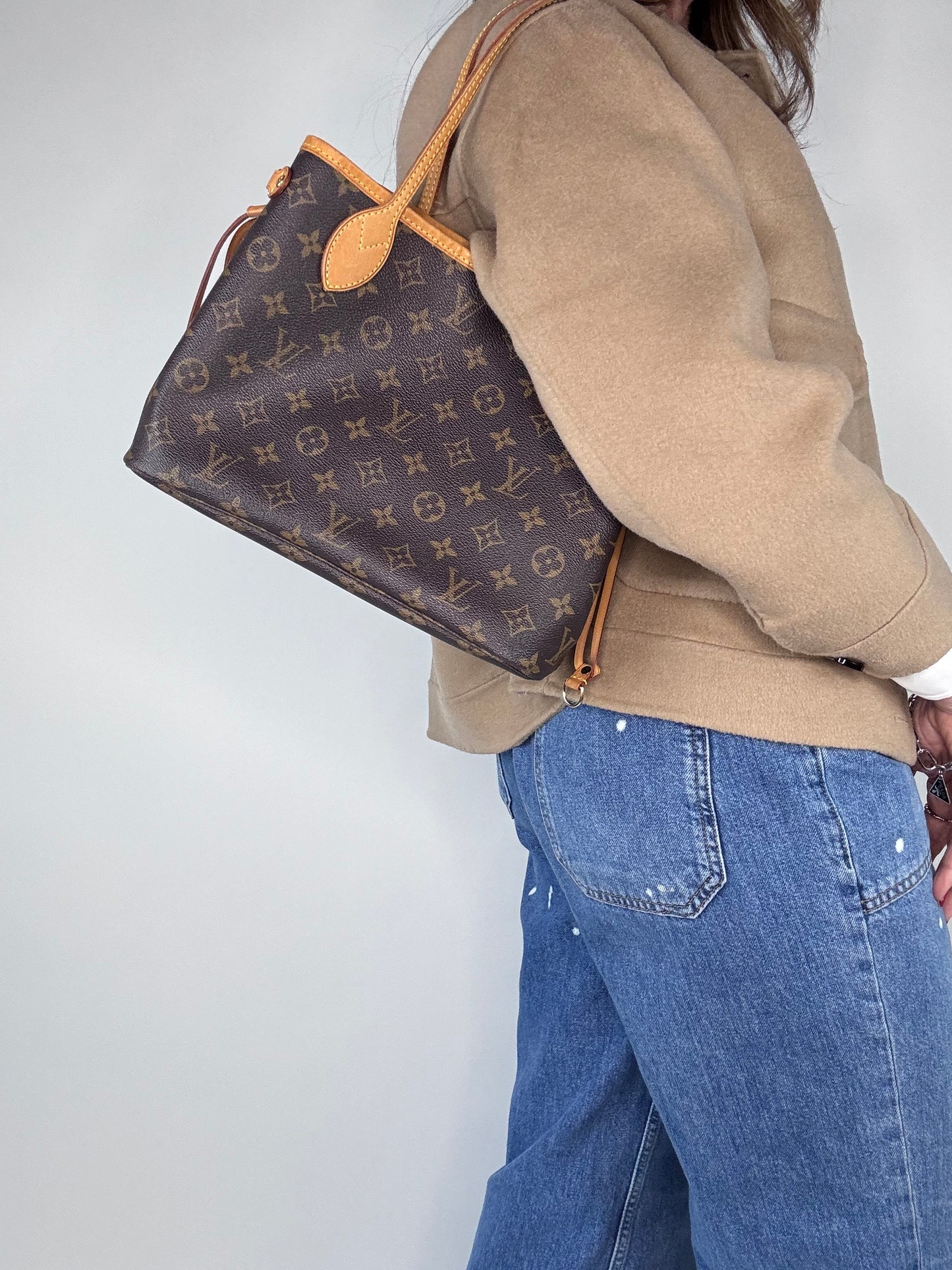 Louis Vuitton Monogram Neverfull PM