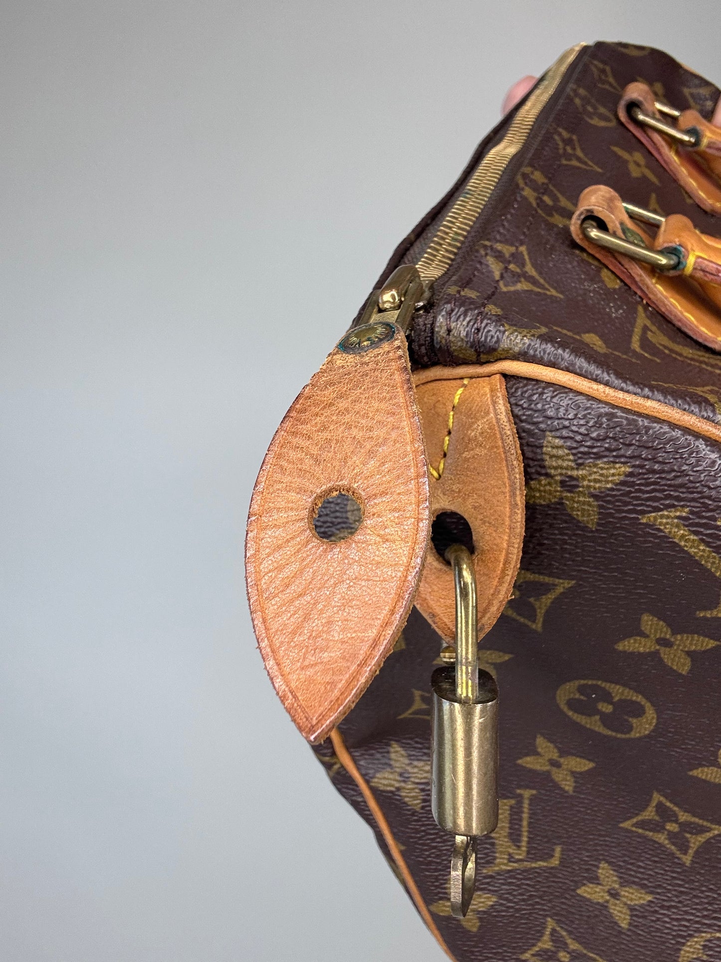 Louis Vuitton Monogram Speedy 25