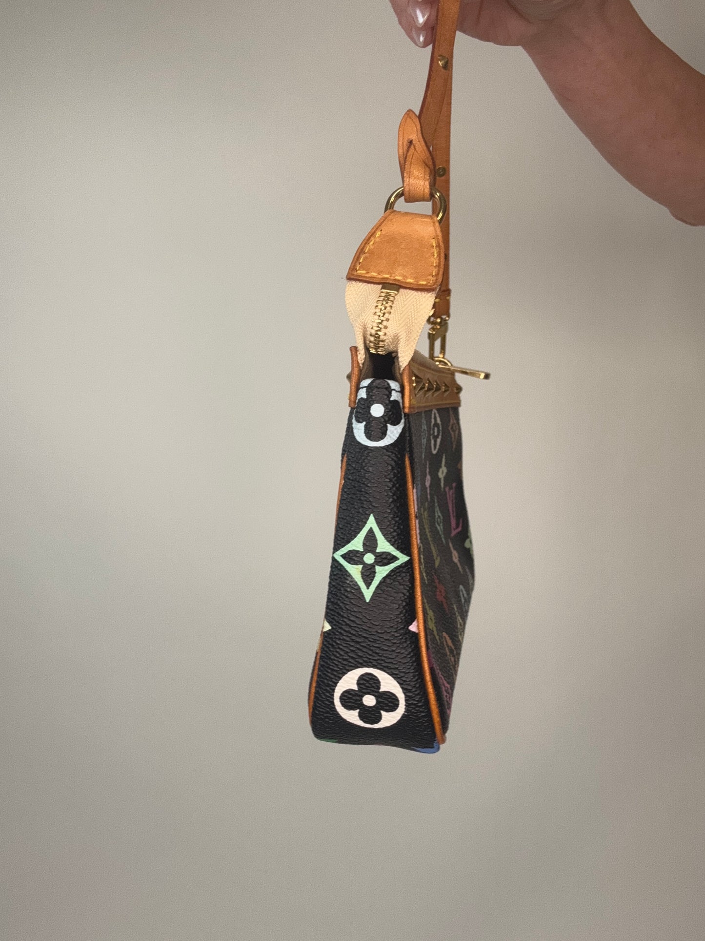 Louis Vuitton Takashi Murakami Multi Nior