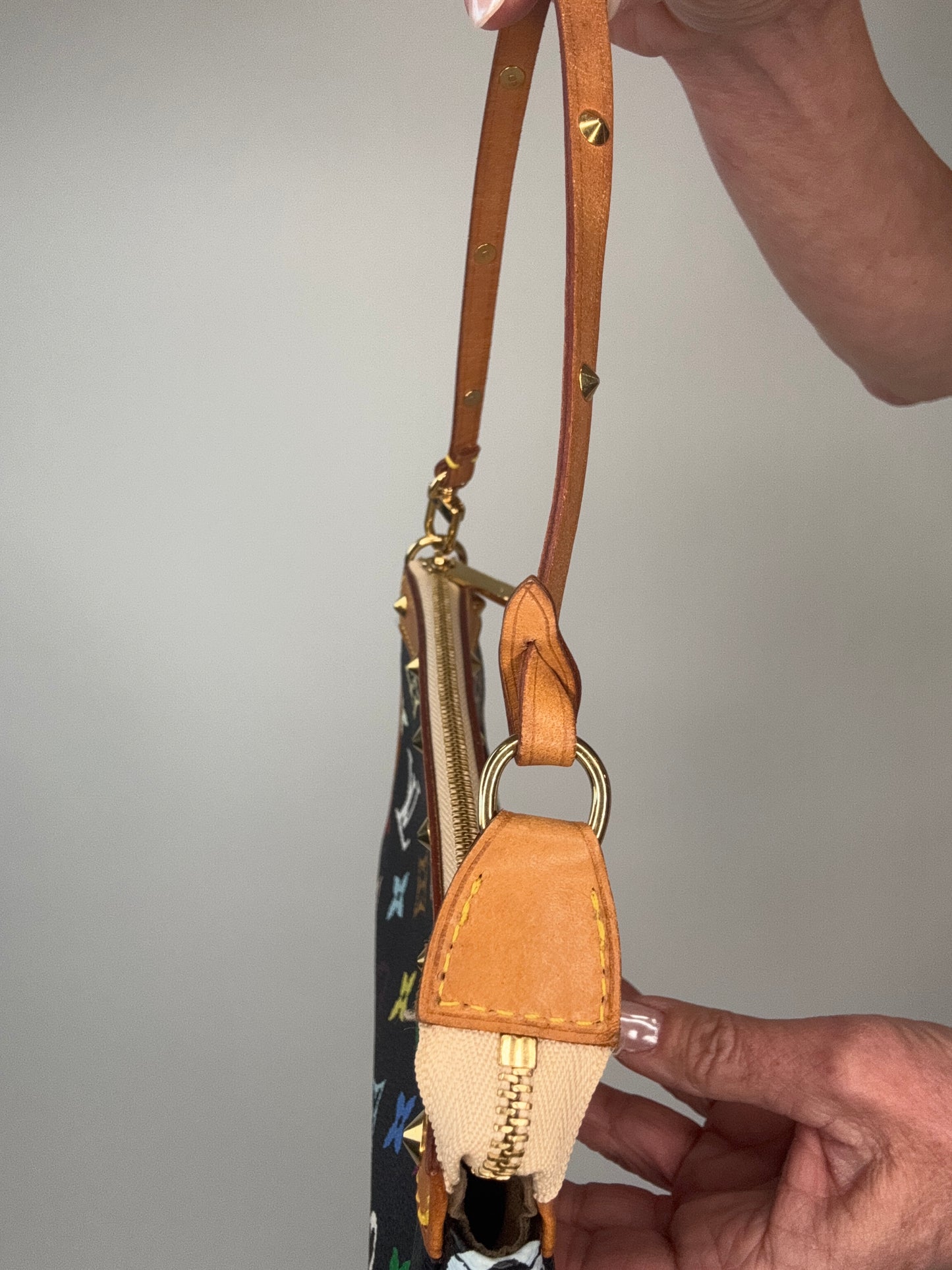 Louis Vuitton Takashi Murakami Multi Nior