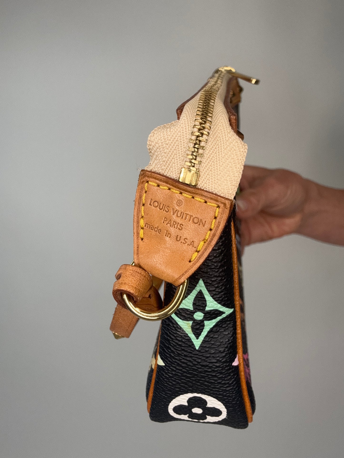 Louis Vuitton Takashi Murakami Multi Nior