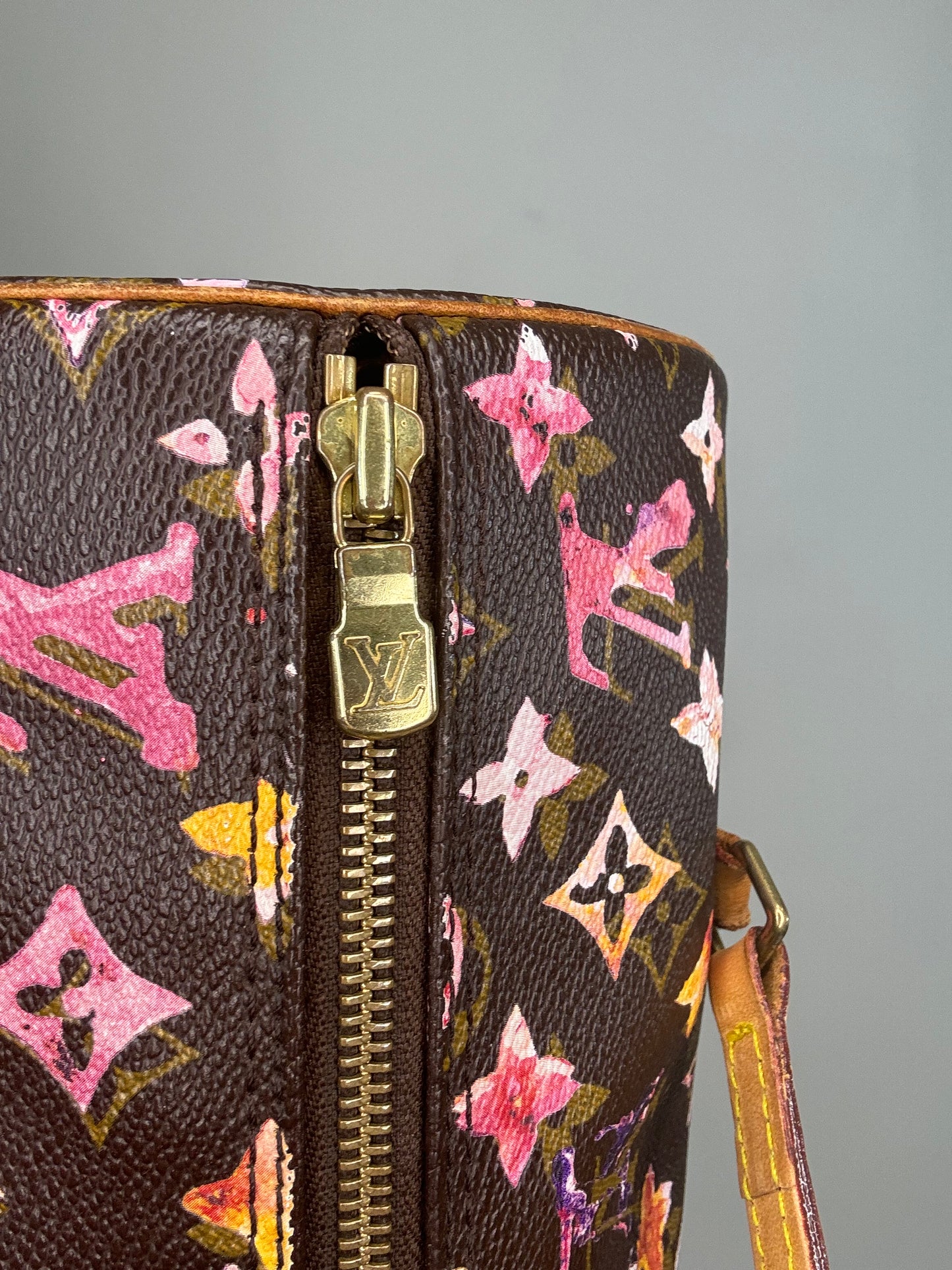 Louis Vuitton Richard Price Water Color Monogram Papillion 30