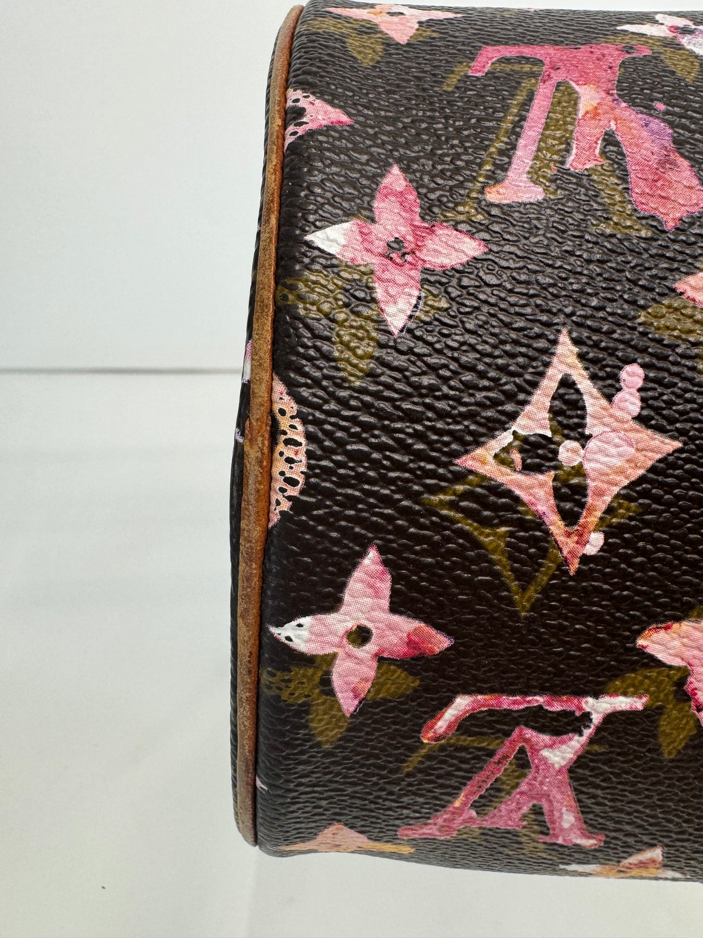 Louis Vuitton Richard Price Water Color Monogram Papillion 30