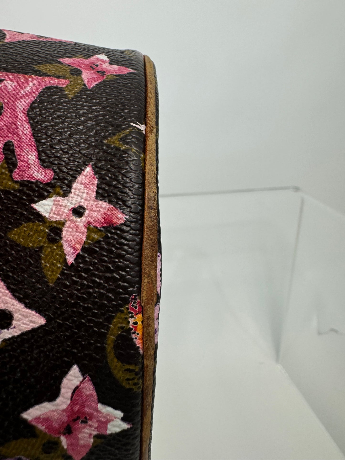 Louis Vuitton Richard Price Water Color Monogram Papillion 30
