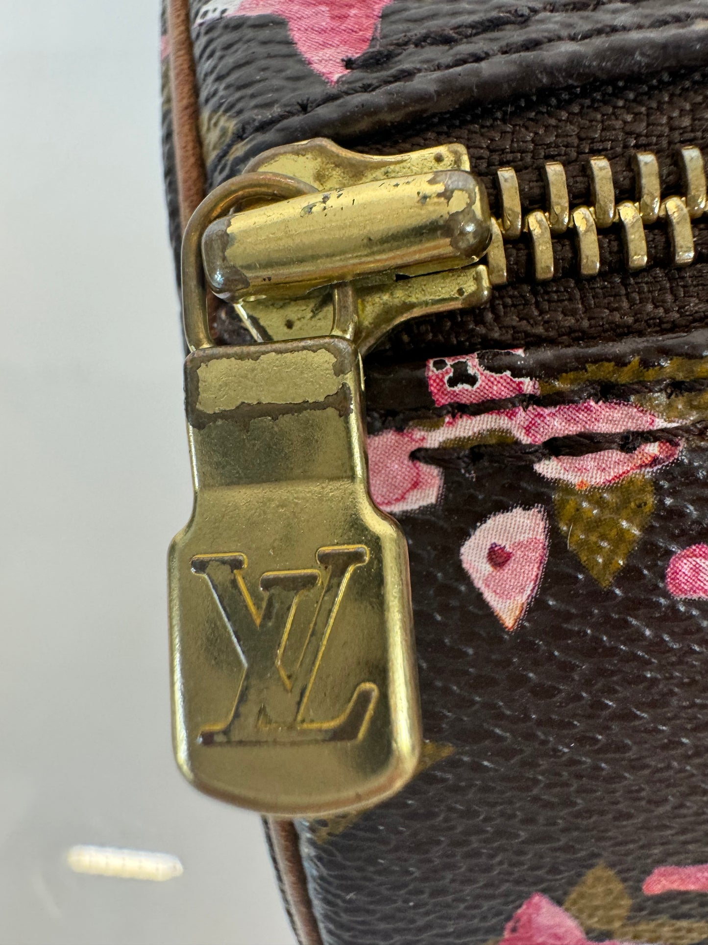 Louis Vuitton Richard Price Water Color Monogram Papillion 30
