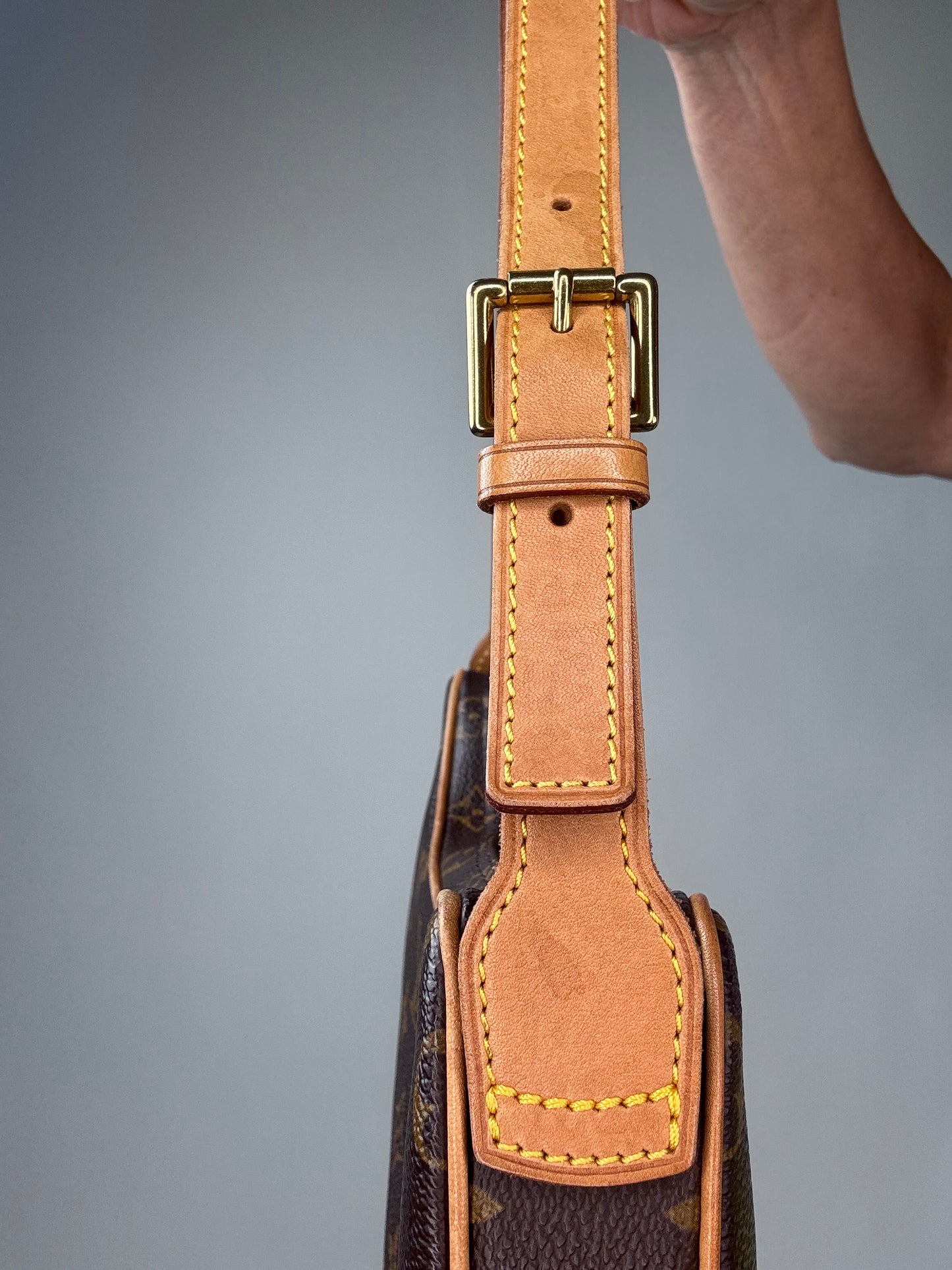 Louis Vuitton Monogram Croissant PM