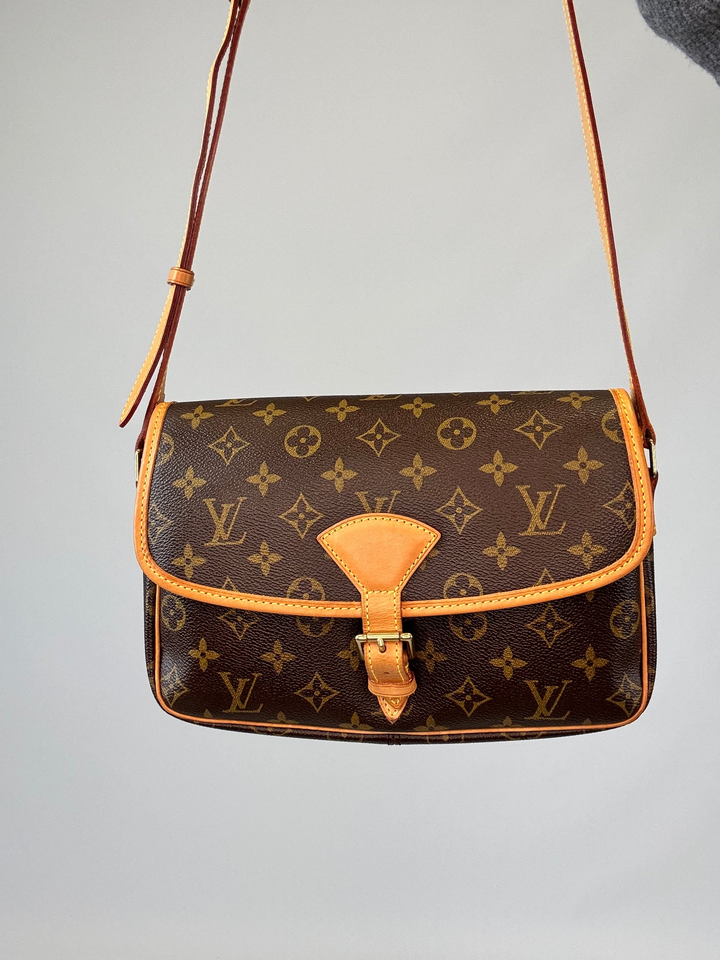 Louis Vuitton Monogram Sologne Bag
