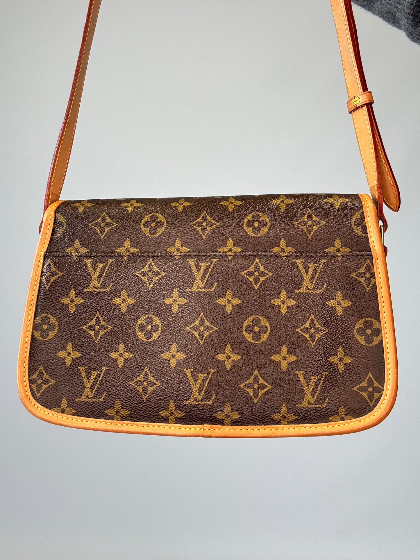 Louis Vuitton Monogram Sologne Bag