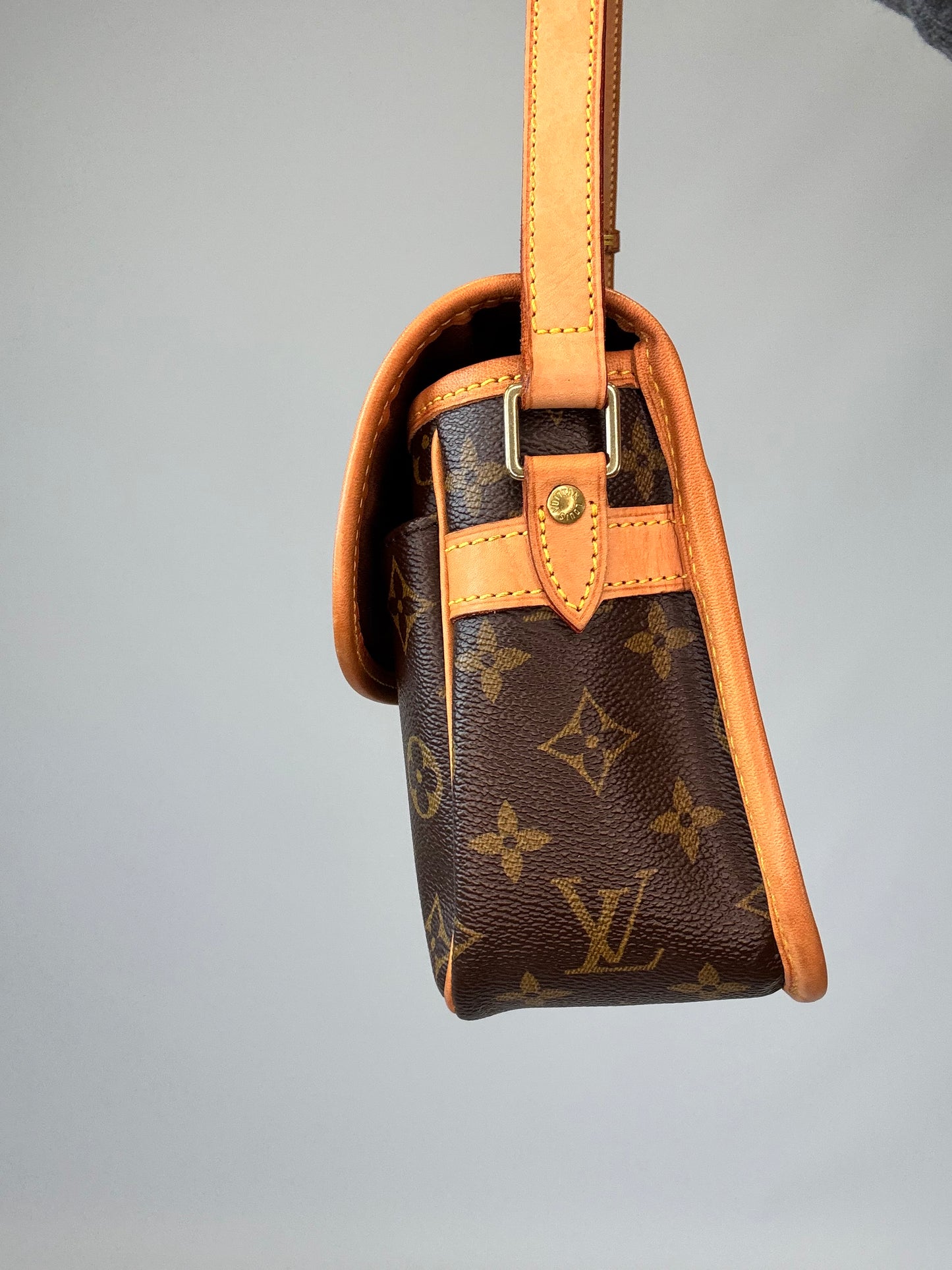 Louis Vuitton Monogram Sologne Bag