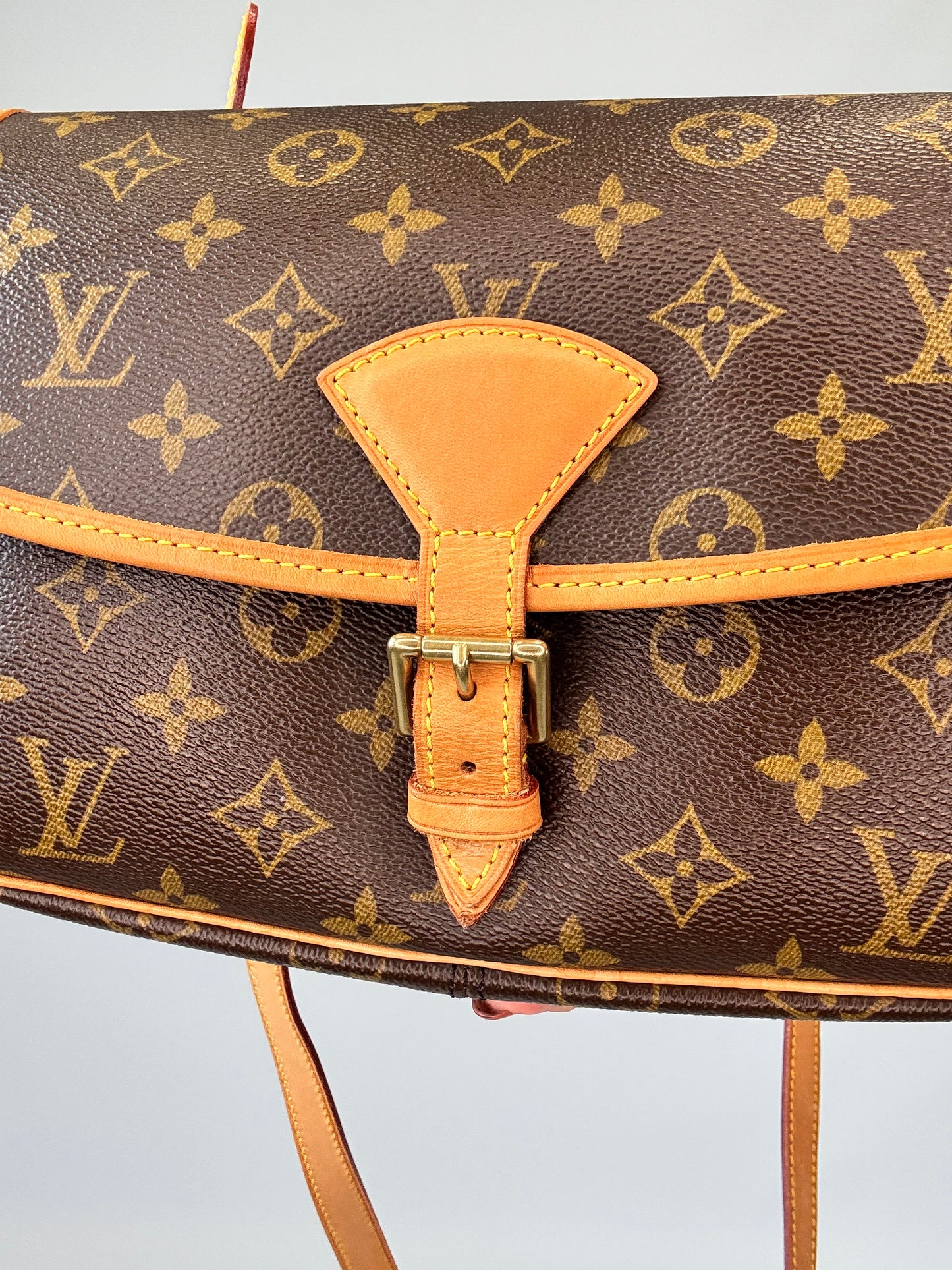 Louis Vuitton Monogram Sologne Bag