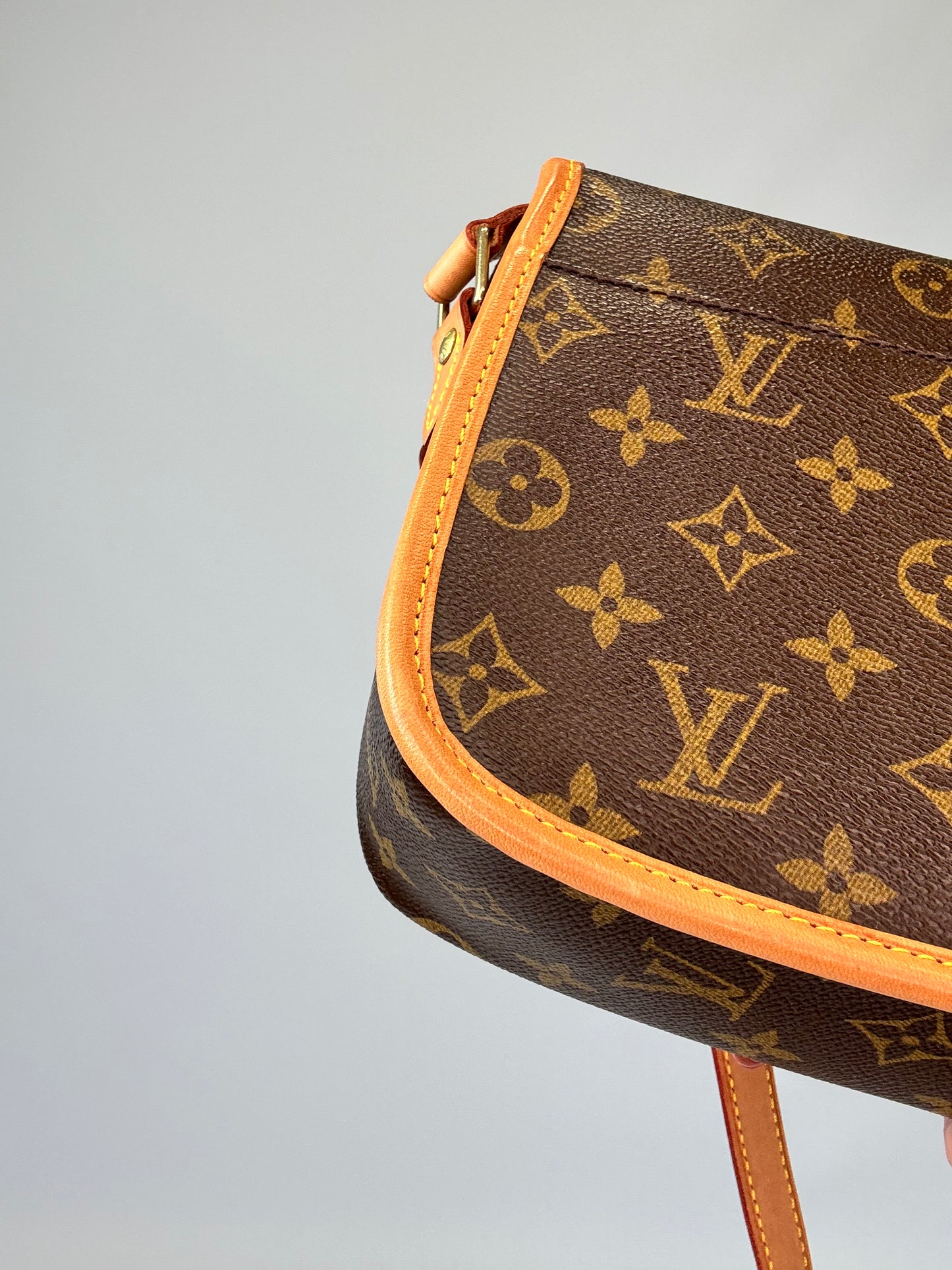 Louis Vuitton Monogram Sologne Bag