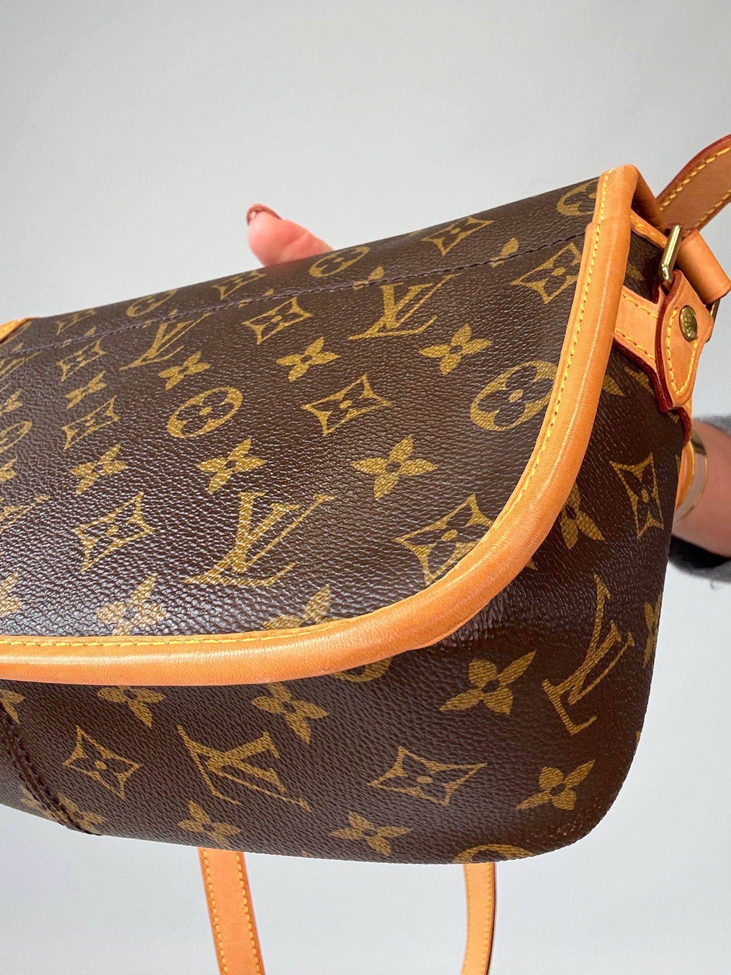 Louis Vuitton Monogram Sologne Bag