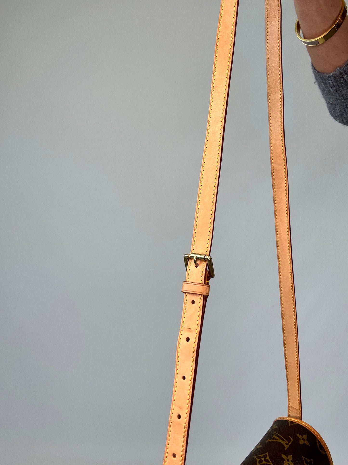 Louis Vuitton Monogram Sologne Bag