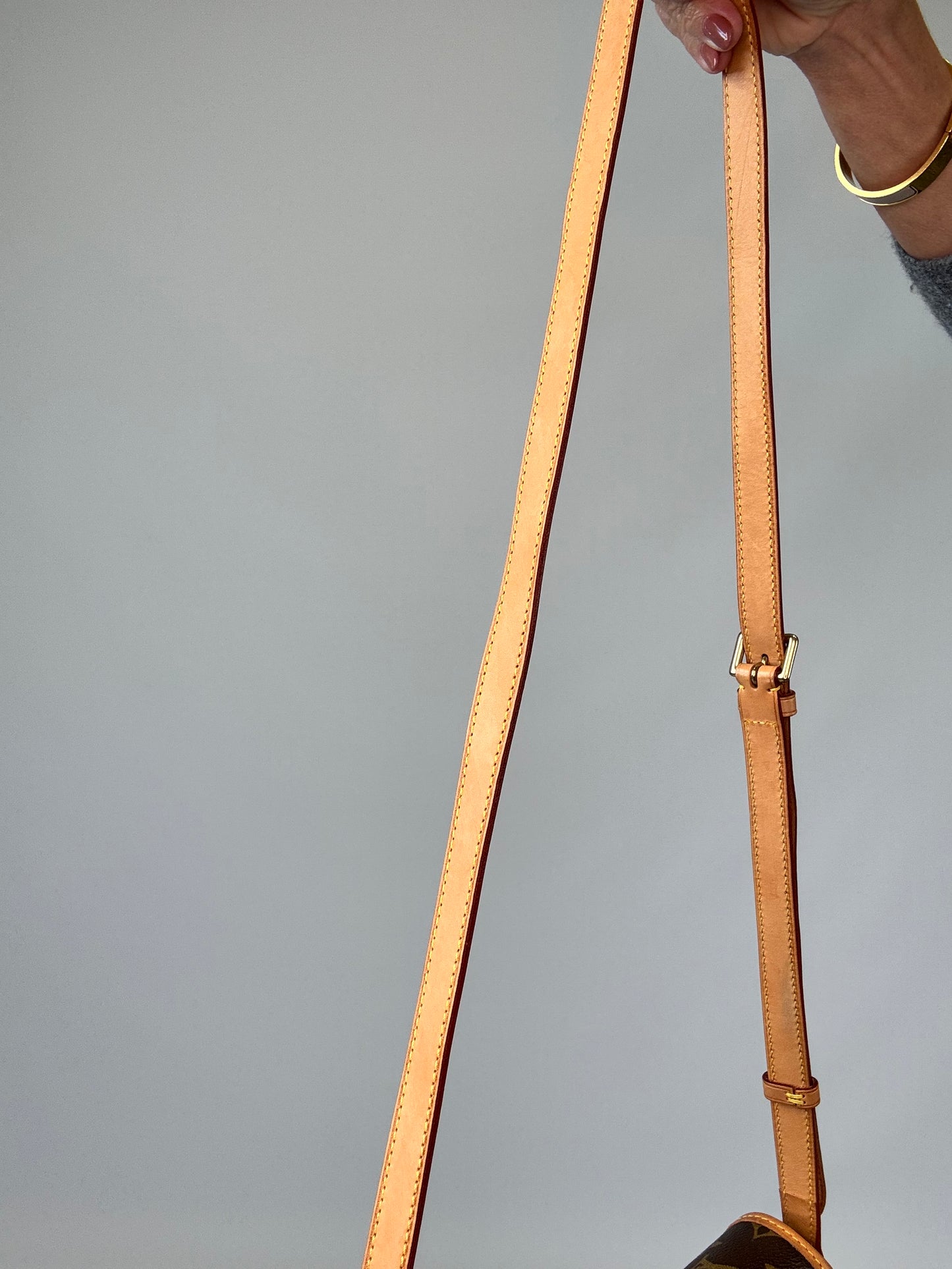 Louis Vuitton Monogram Sologne Bag