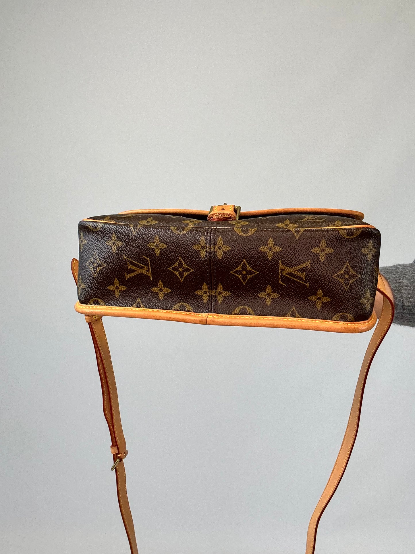 Louis Vuitton Monogram Sologne Bag