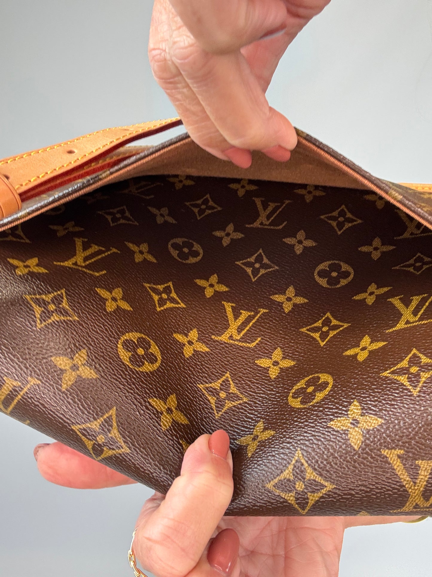Louis Vuitton Monogram Sologne Bag