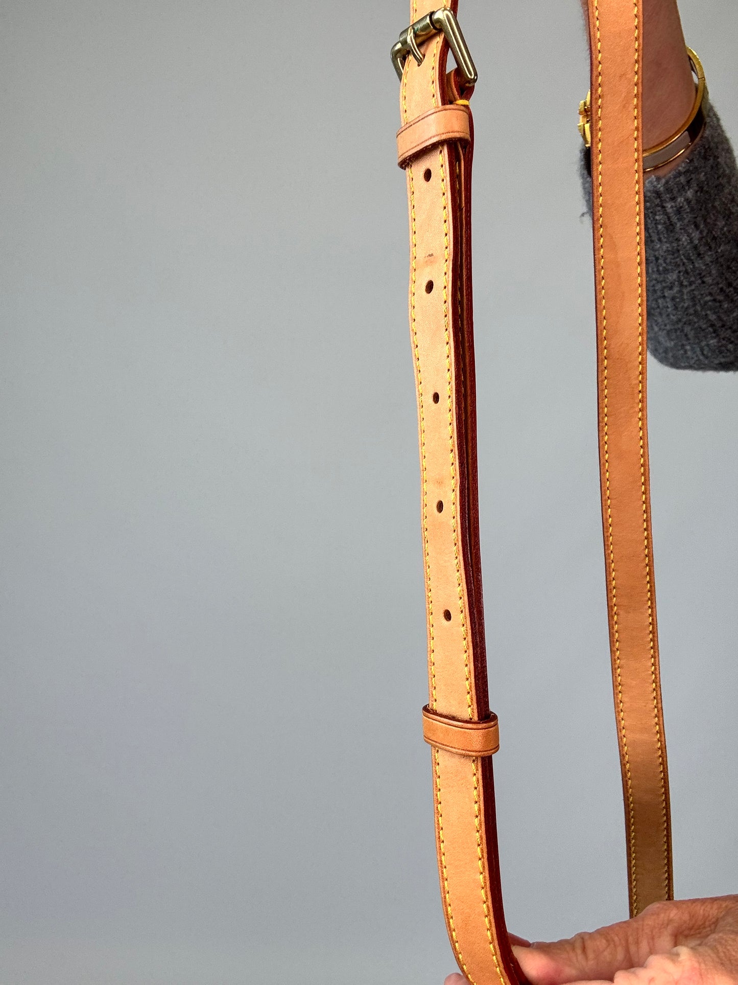 Louis Vuitton Monogram Sologne Bag