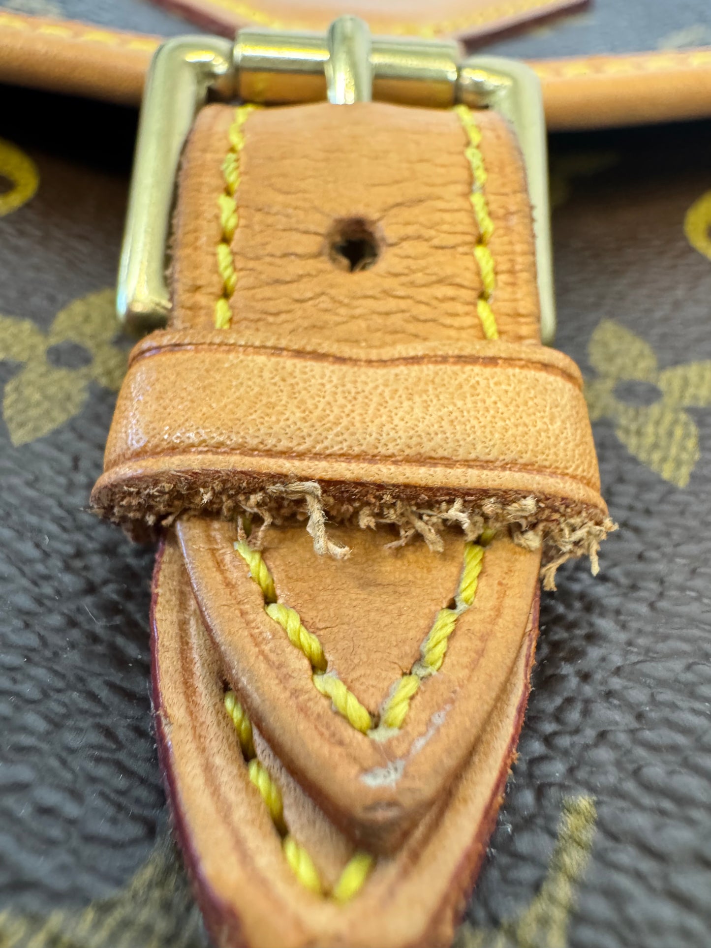 Louis Vuitton Monogram Sologne Bag