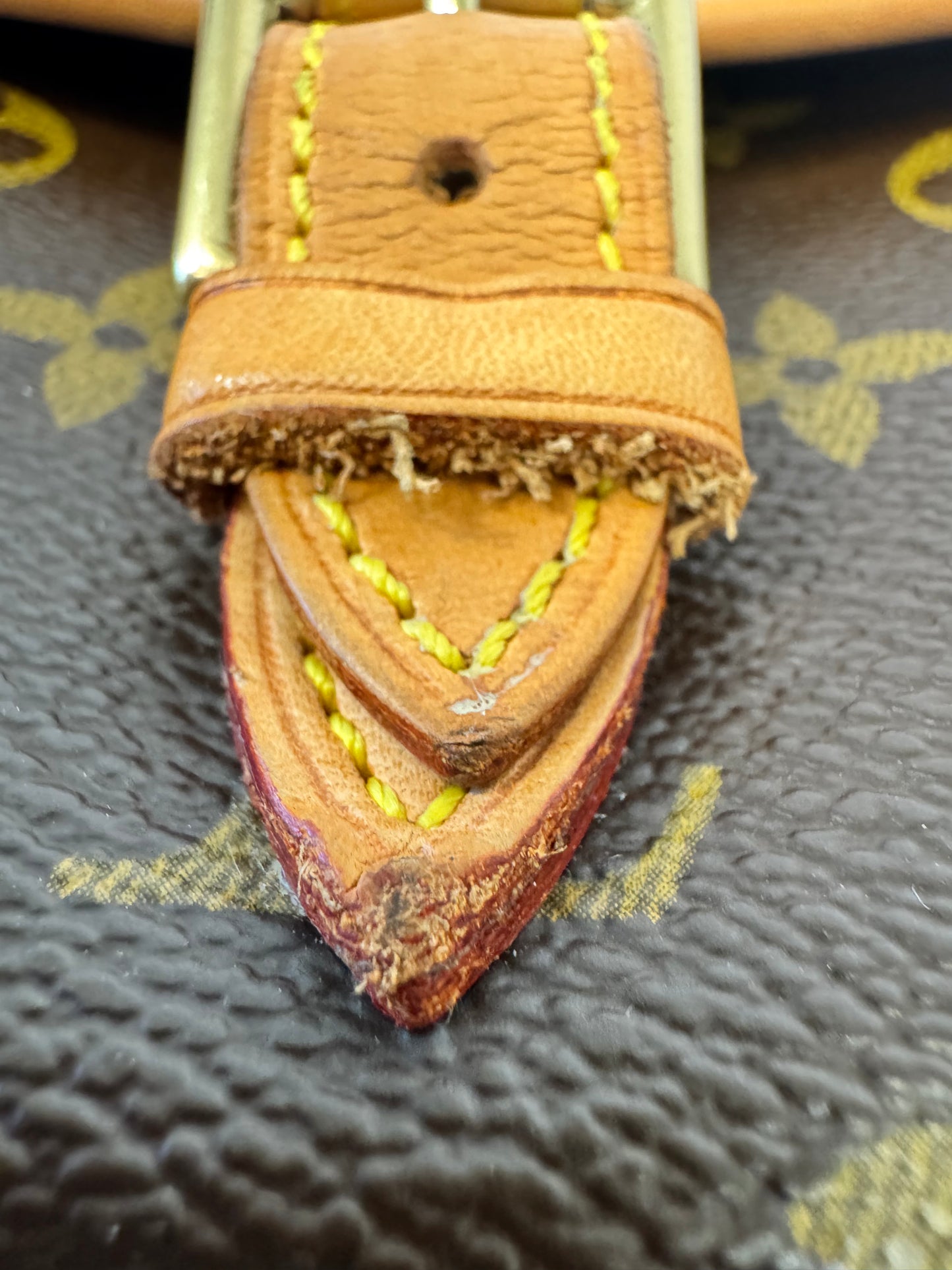Louis Vuitton Monogram Sologne Bag