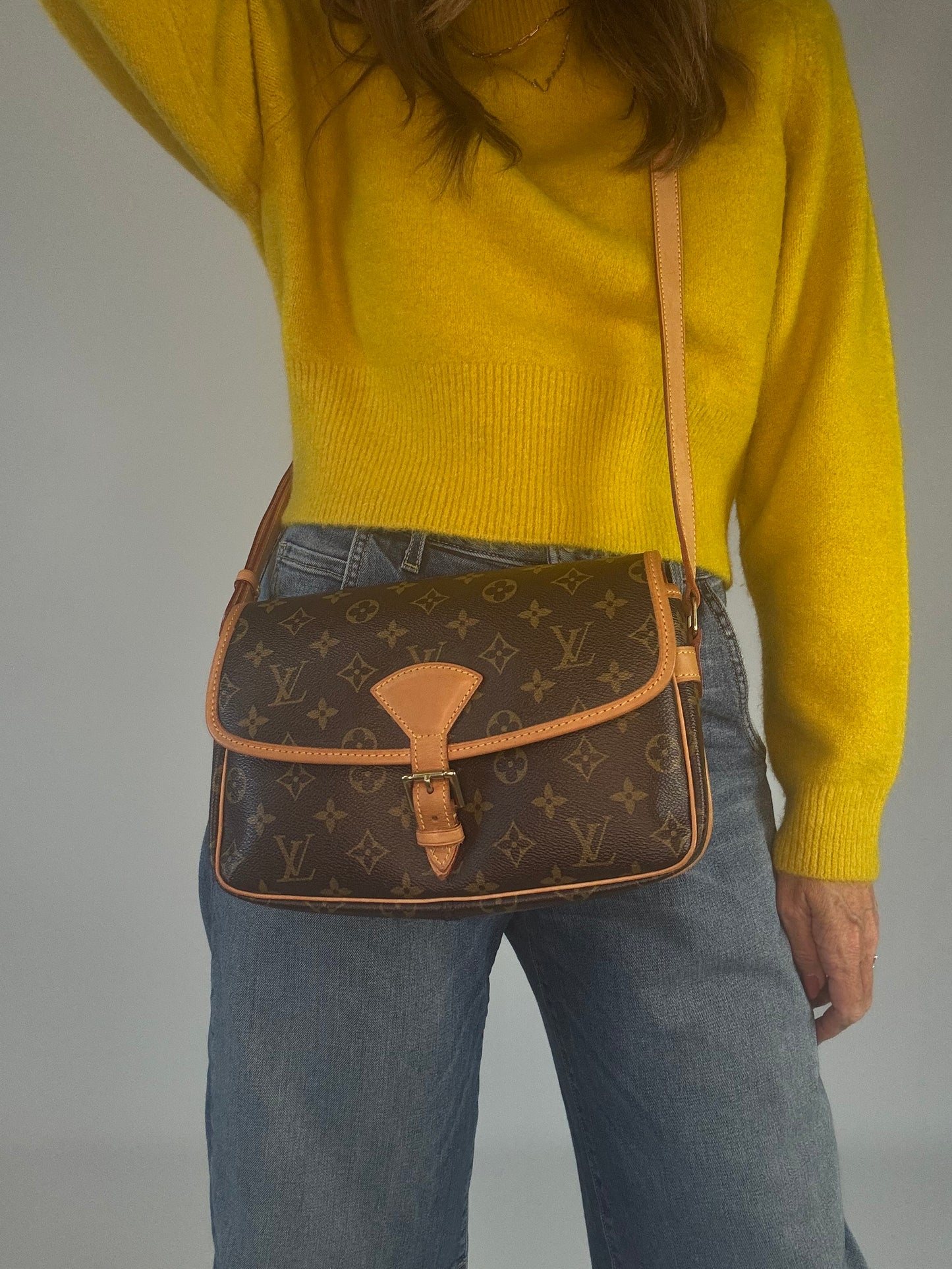 Louis Vuitton Monogram Sologne Bag