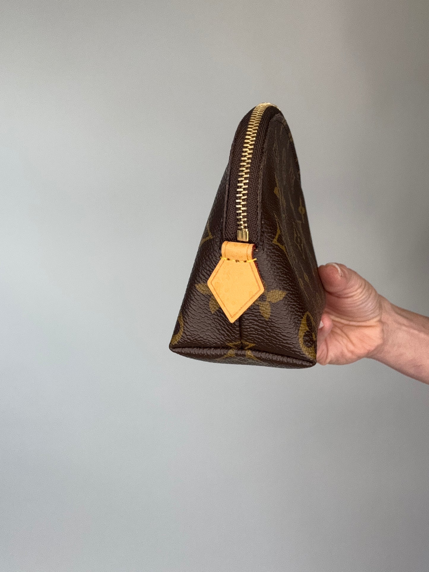 Louis Vuitton Monogram Cosmetics Bag