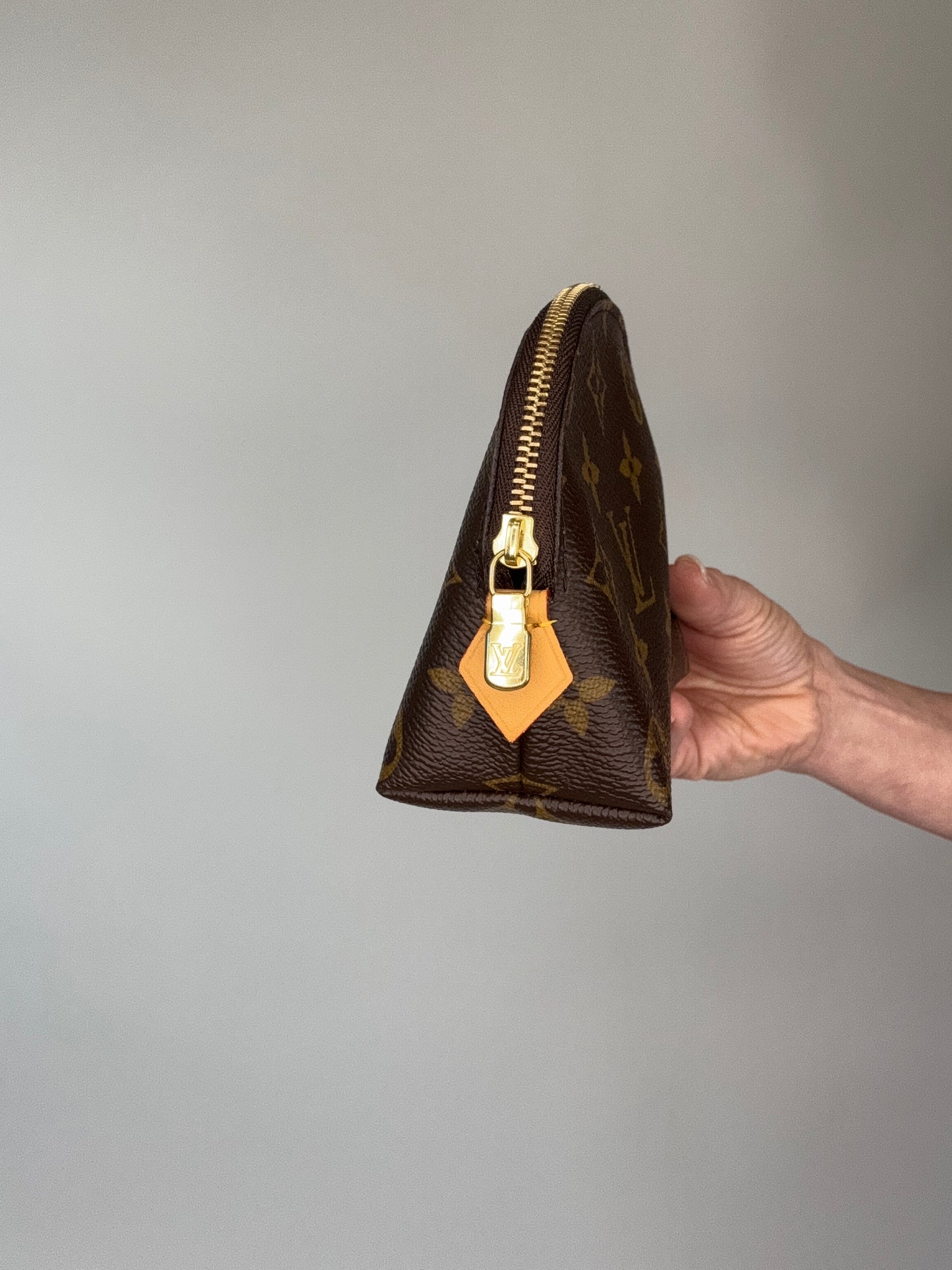 Louis Vuitton Monogram Cosmetics Bag