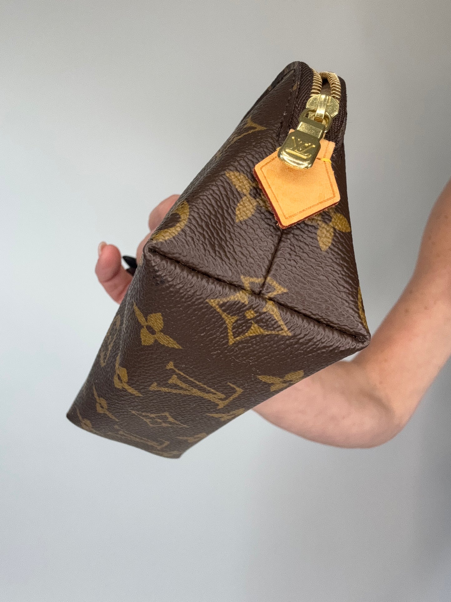 Louis Vuitton Monogram Cosmetics Bag
