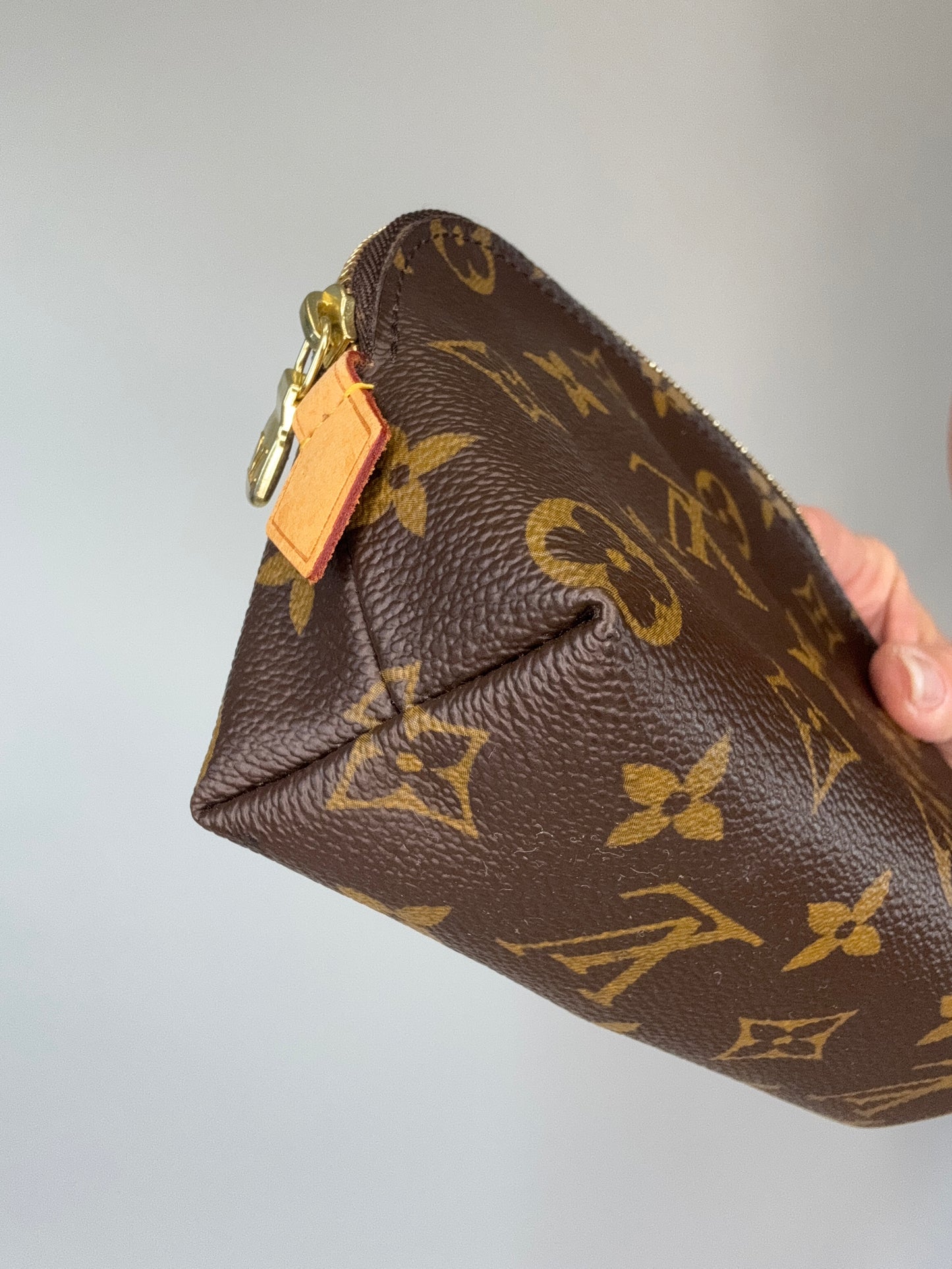 Louis Vuitton Monogram Cosmetics Bag