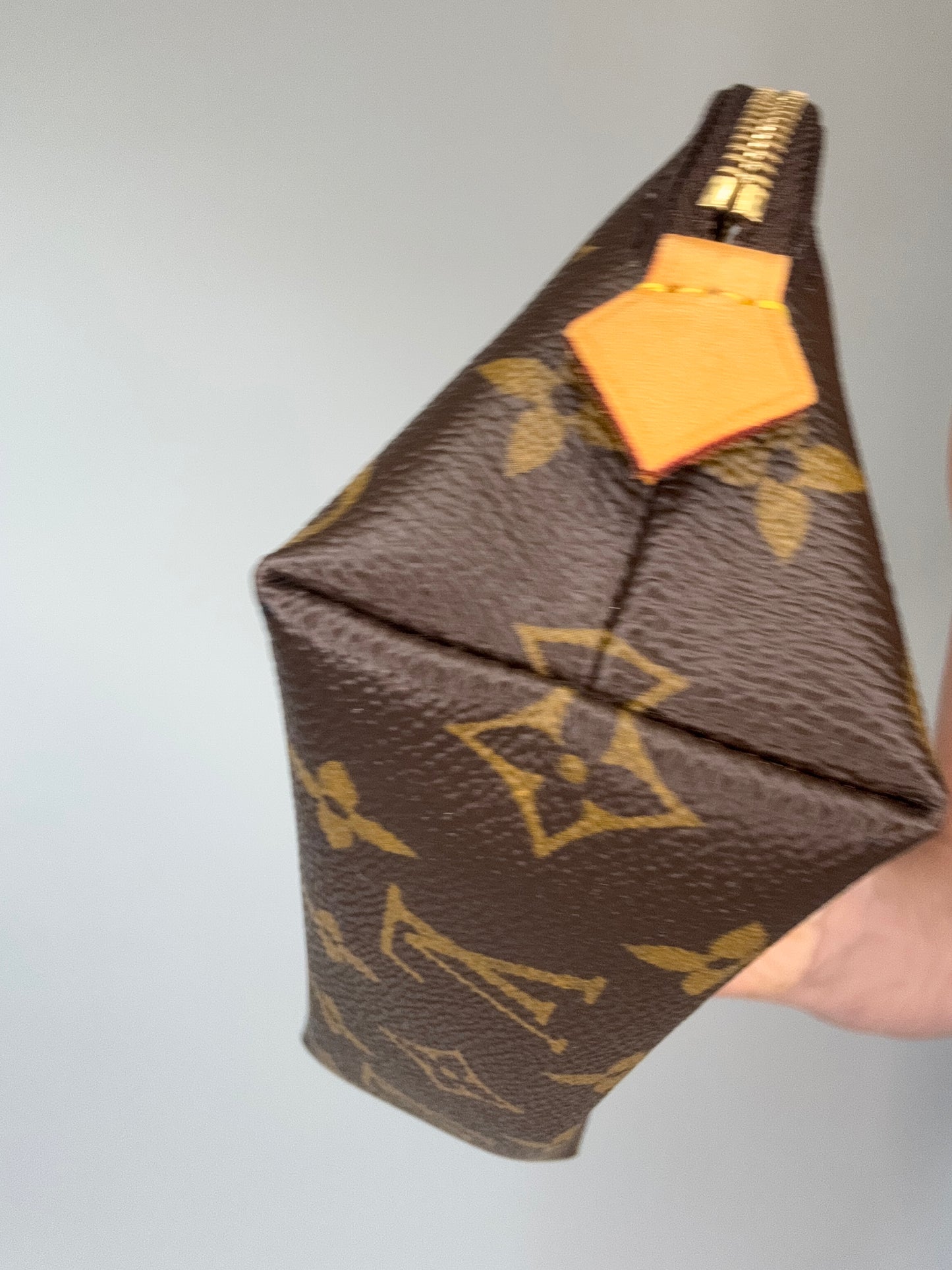 Louis Vuitton Monogram Cosmetics Bag