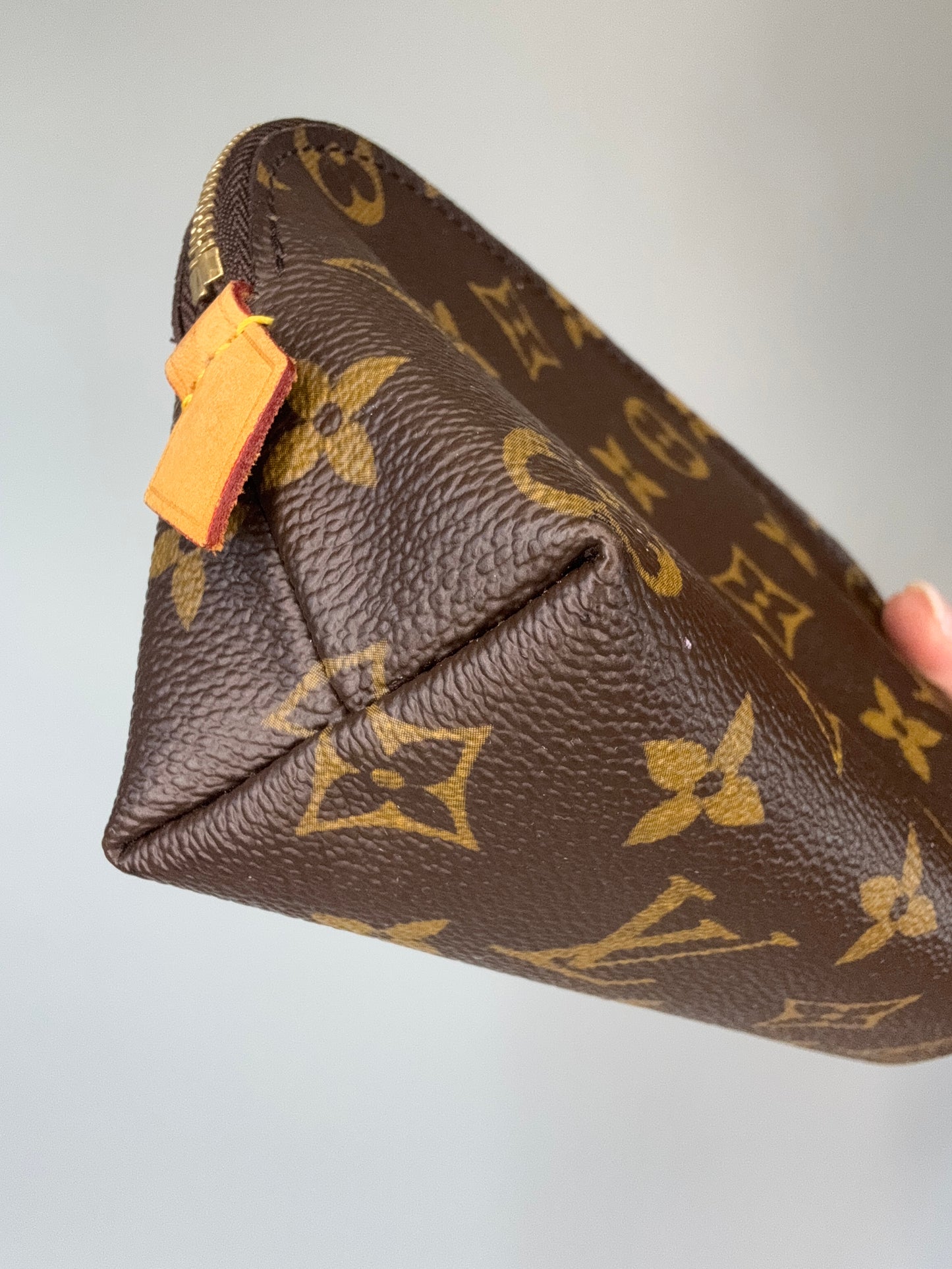 Louis Vuitton Monogram Cosmetics Bag