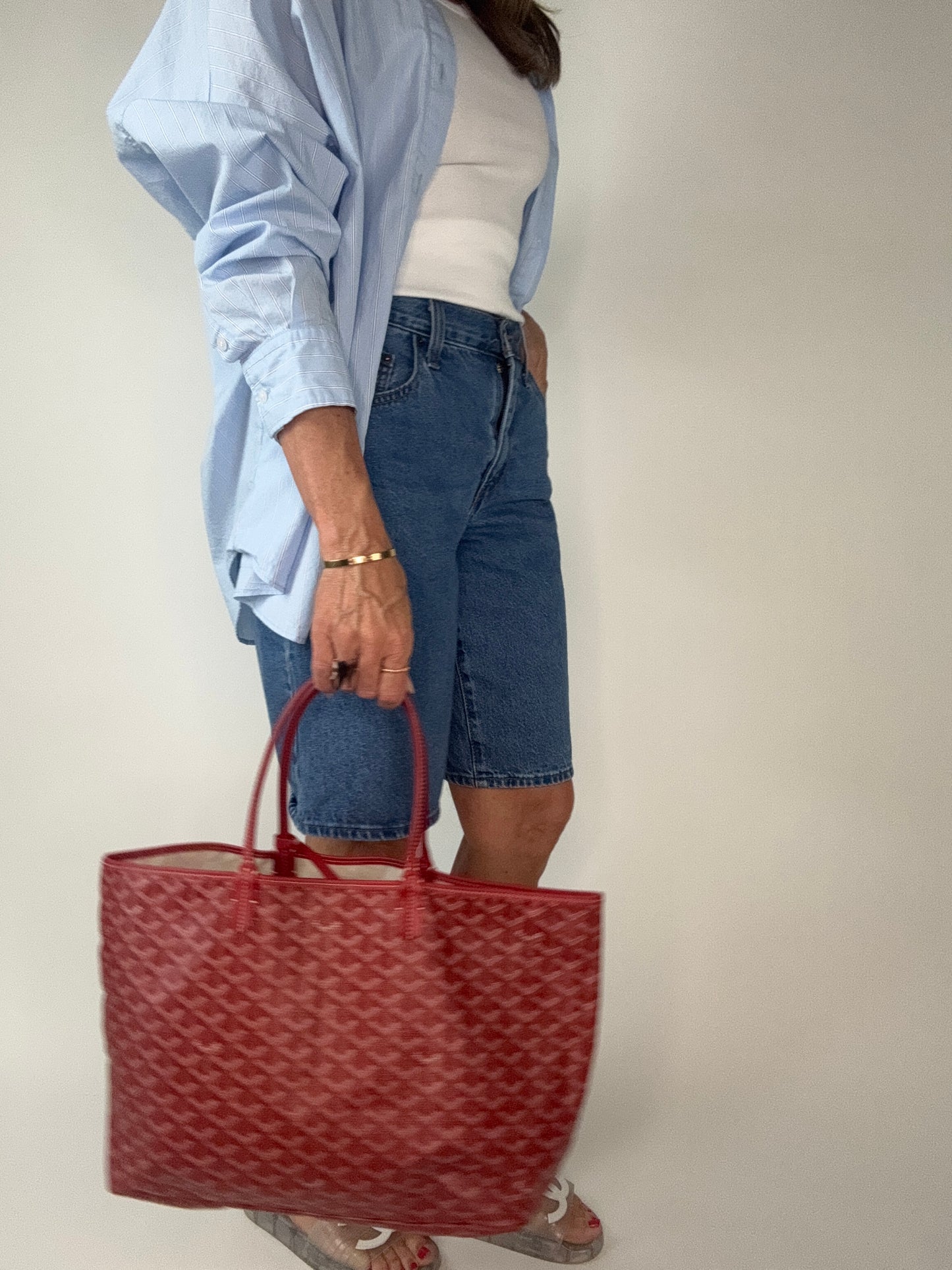 Goyard St Louis PM Red With Pouch