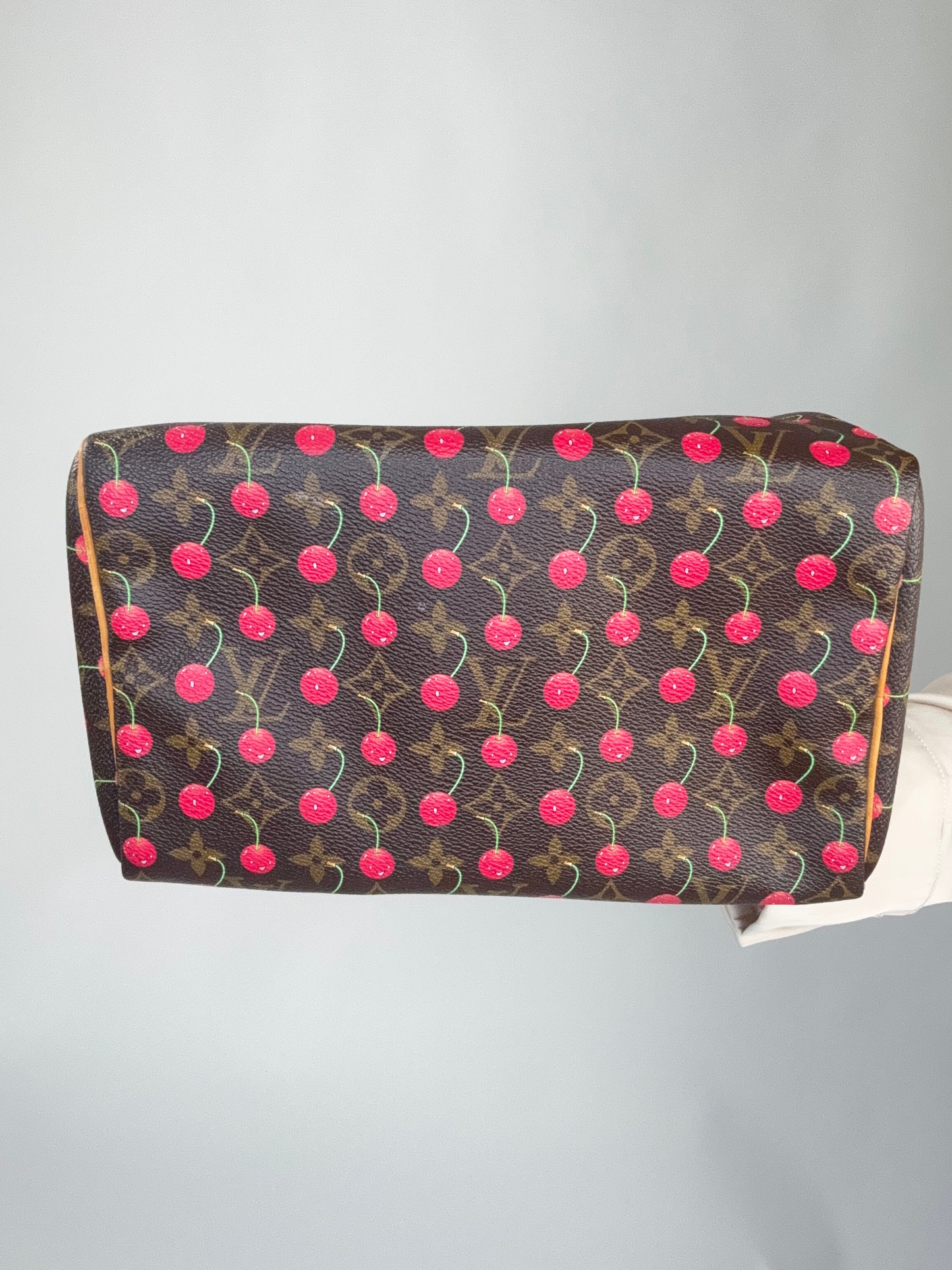 Louis Vuitton Takashi Murakami Cherry Speedy 25