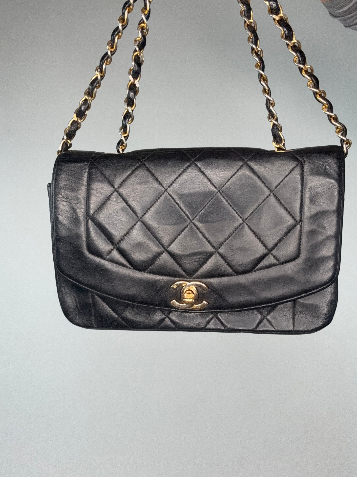 Chanel Vintage Small Diana