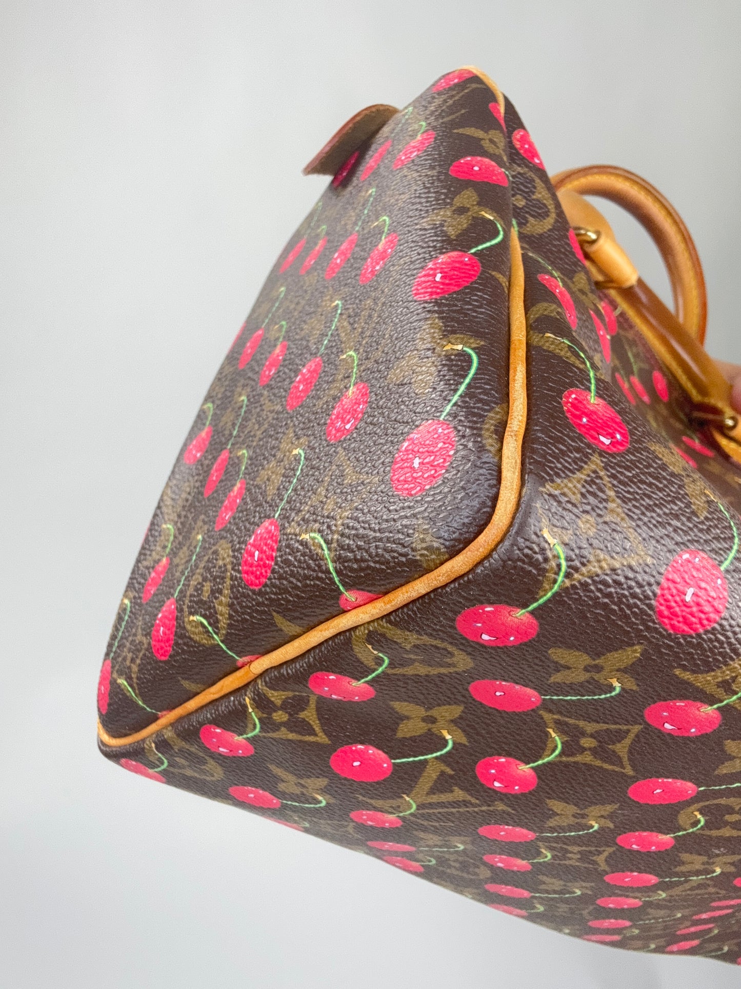 Louis Vuitton Takashi Murakami Cherry Speedy 25