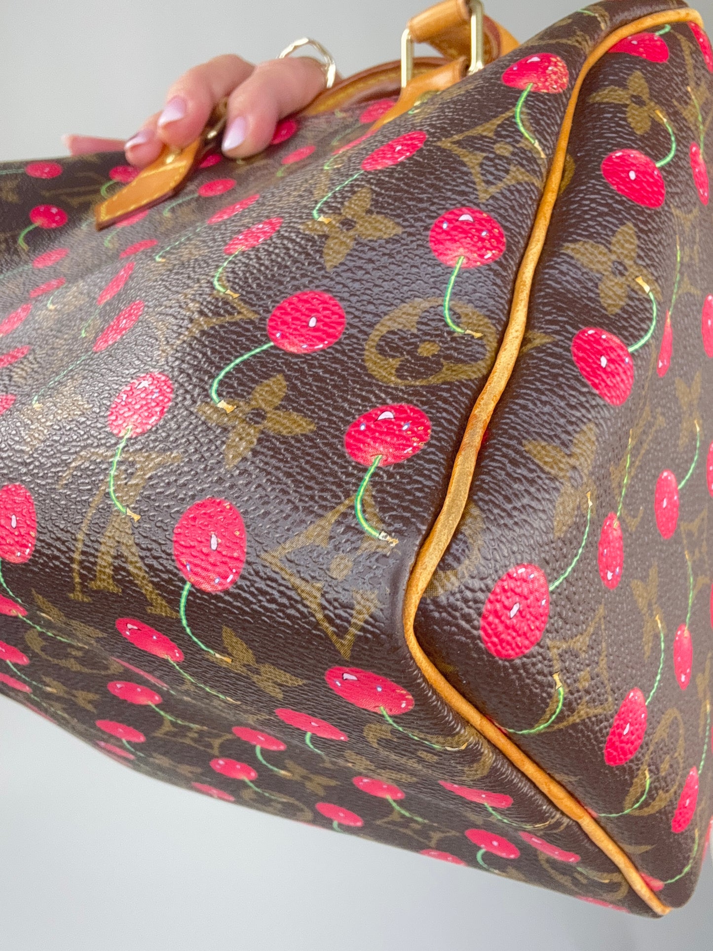 Louis Vuitton Takashi Murakami Cherry Speedy 25