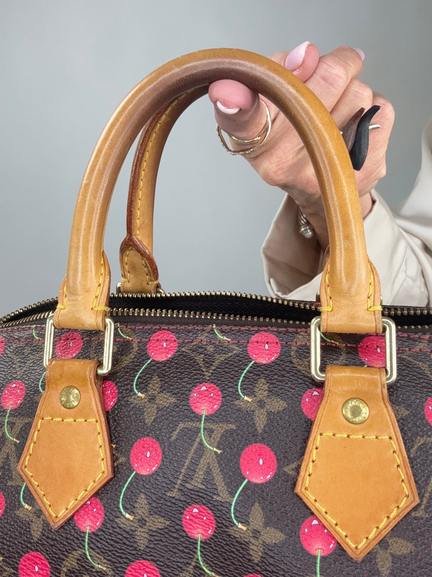 Louis Vuitton Takashi Murakami Cherry Speedy 25