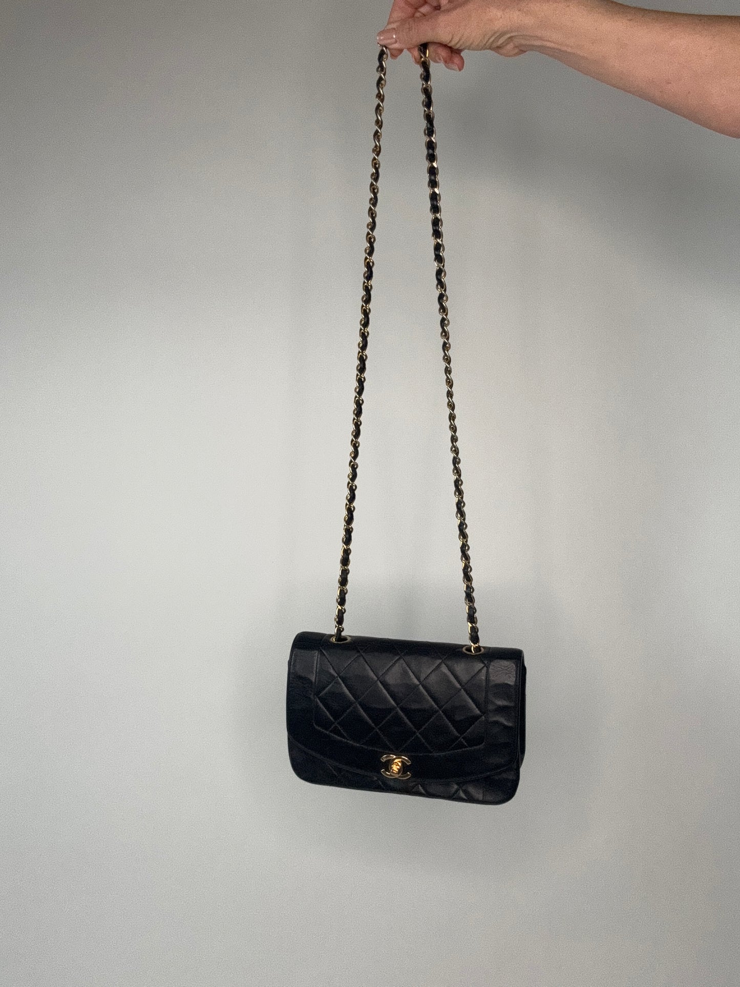 Chanel Vintage Small Diana