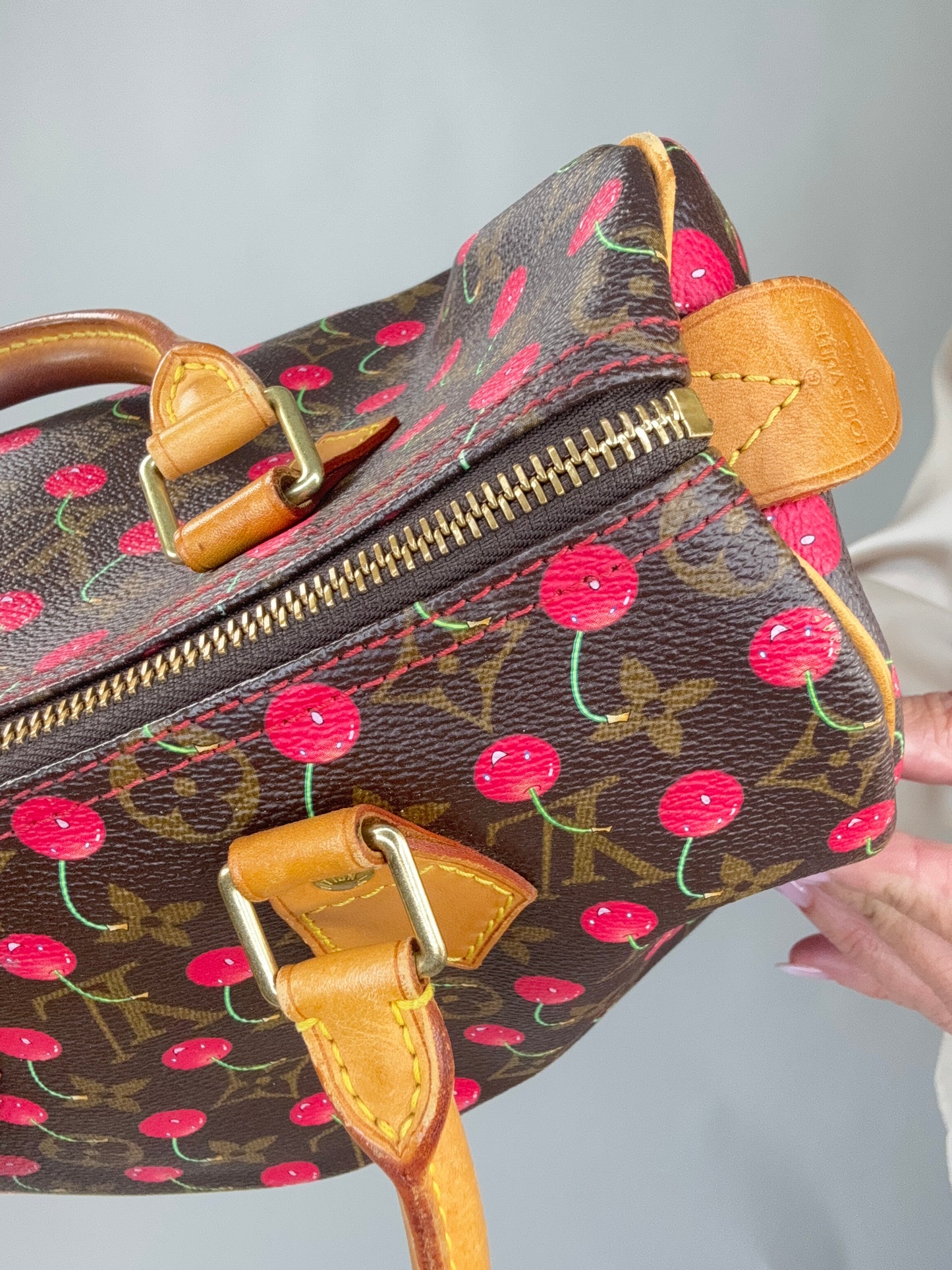 Louis Vuitton Takashi Murakami Cherry Speedy 25