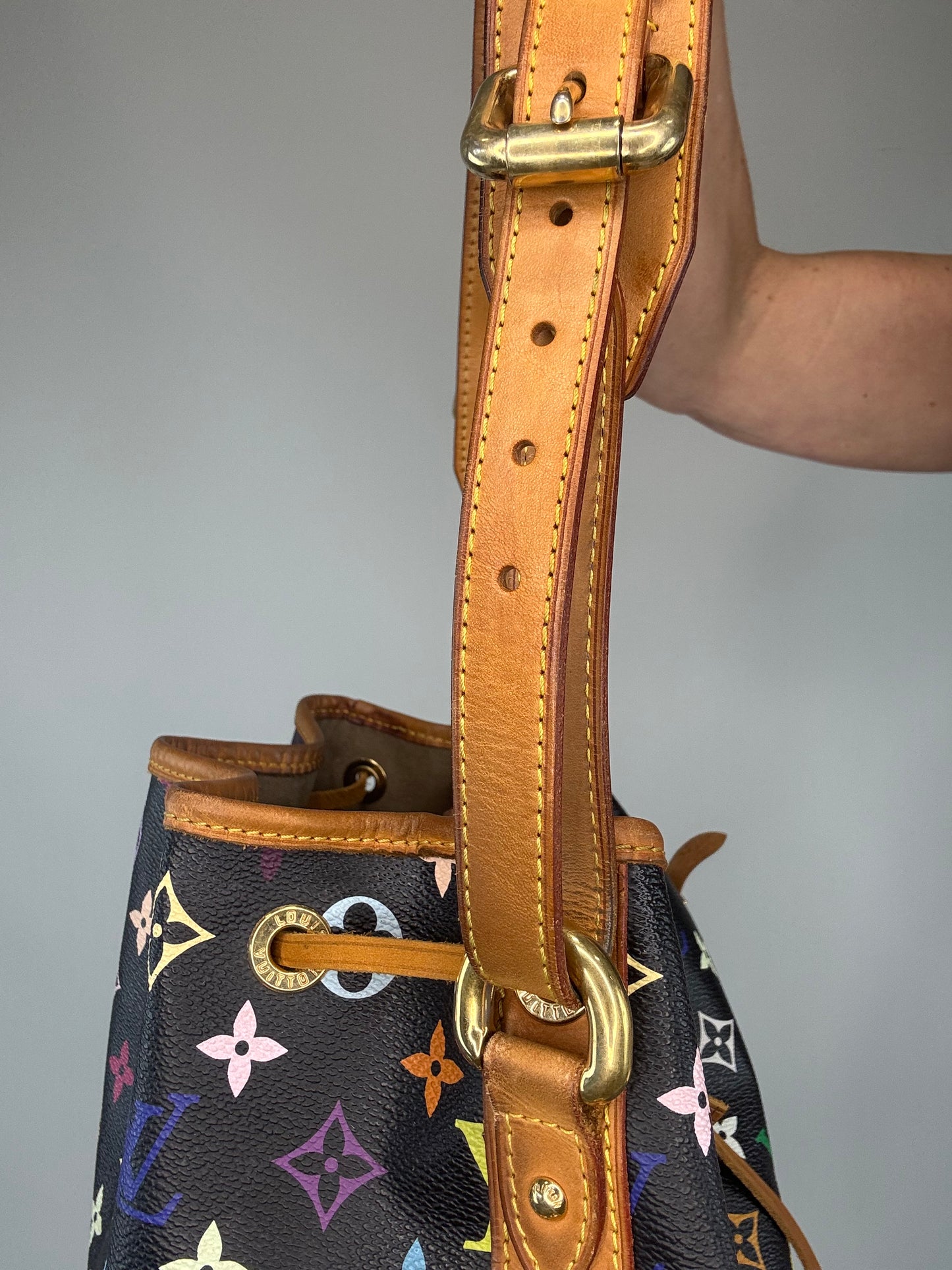 Louis Vuitton Takashi Murakami Neo Petite Black Multi Color Monogram