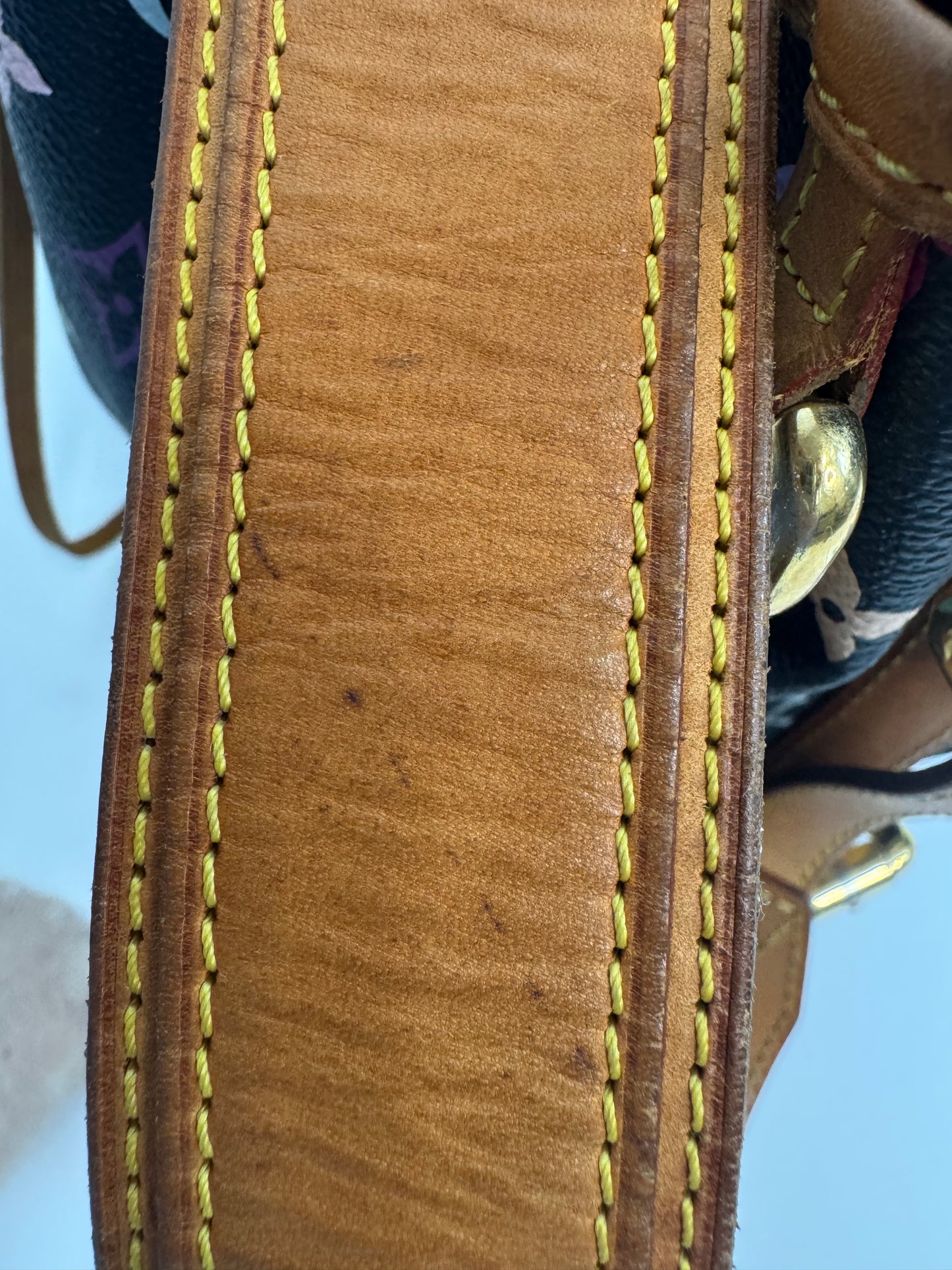 Louis Vuitton Takashi Murakami Neo Petite Black Multi Color Monogram