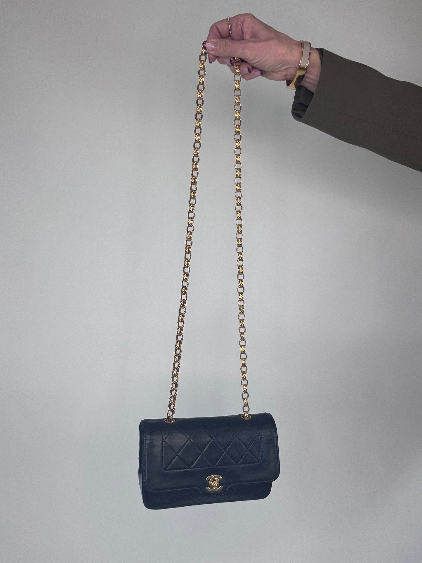 Chanel Rare Diana Mini Bijoux Chain Bag