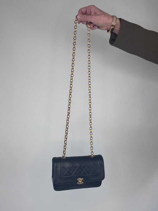Chanel Rare Diana Mini Bijoux Chain Bag