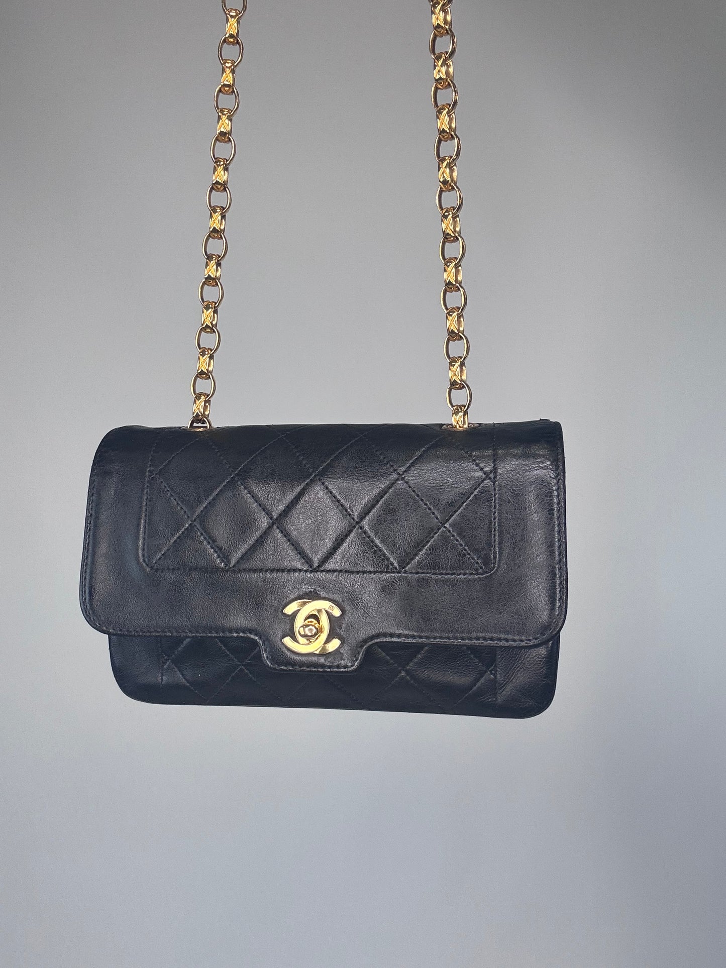 Chanel Rare Diana Mini Bijoux Chain Bag