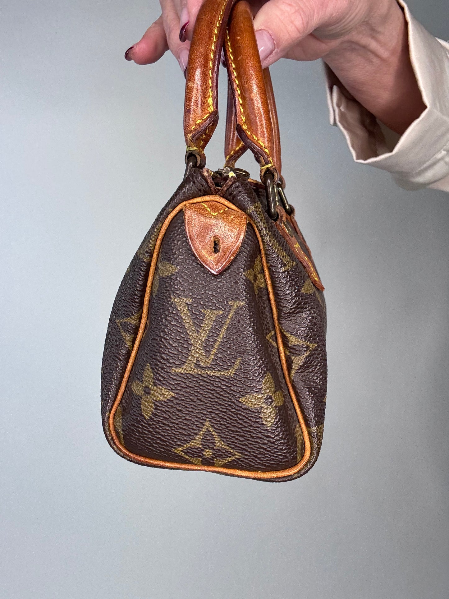 Louis Vuitton Monogram Mini Speedy