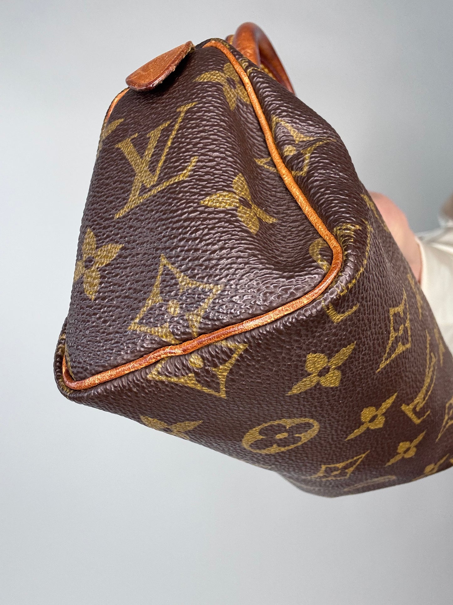 Louis Vuitton Monogram Mini Speedy